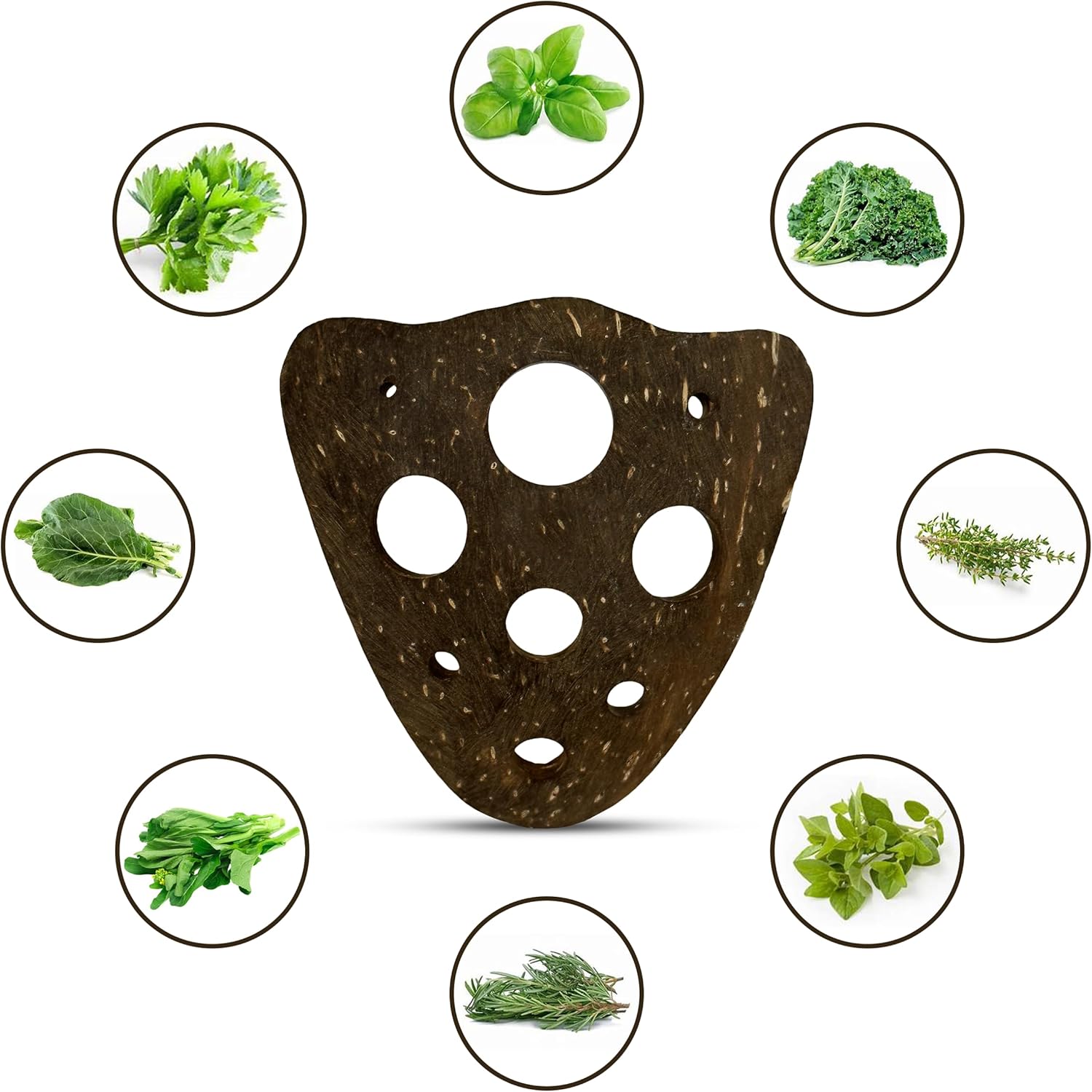 Herramienta de eliminación de hierbas totalmente natural  Pelador de hierbas con 9 agujeros  Pelador de hierbas para tomillo, cilantro, romero,