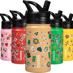 BJPKPK Botella de agua aislada con tapa con pajilla, botellas de agua de metal de acero inoxidable de 15 onzas, botellas de agua reutilizables a BJPKPK Botella de agua aislada con tapa con pajilla, botellas de agua de metal de acero inoxidable de 15 onzas, botellas de agua reutilizables a
