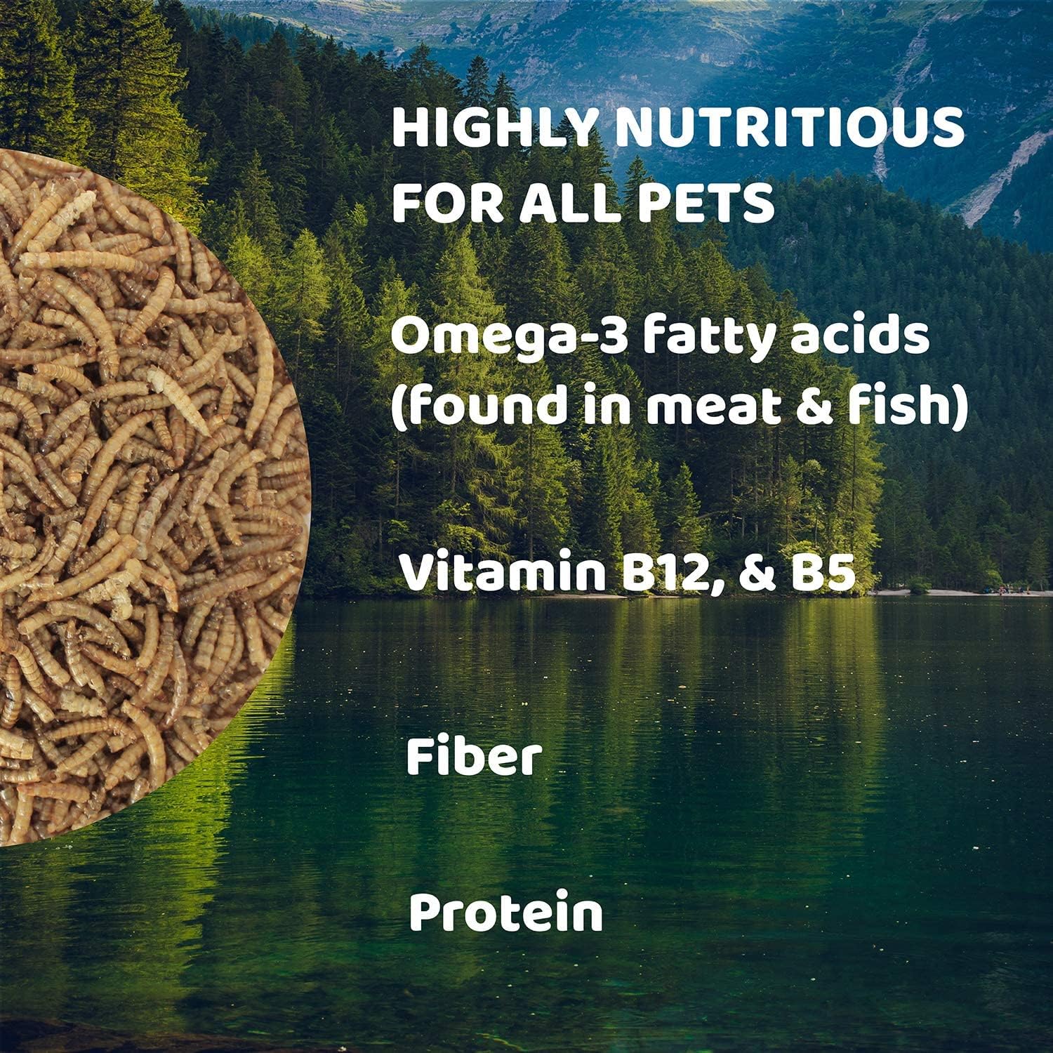 Downtown Pet Supply Gusanos secos de harina de 1 libra para aves silvestres, aves, reptiles y pequeños mamíferos ricos en vitamina B12, B5,