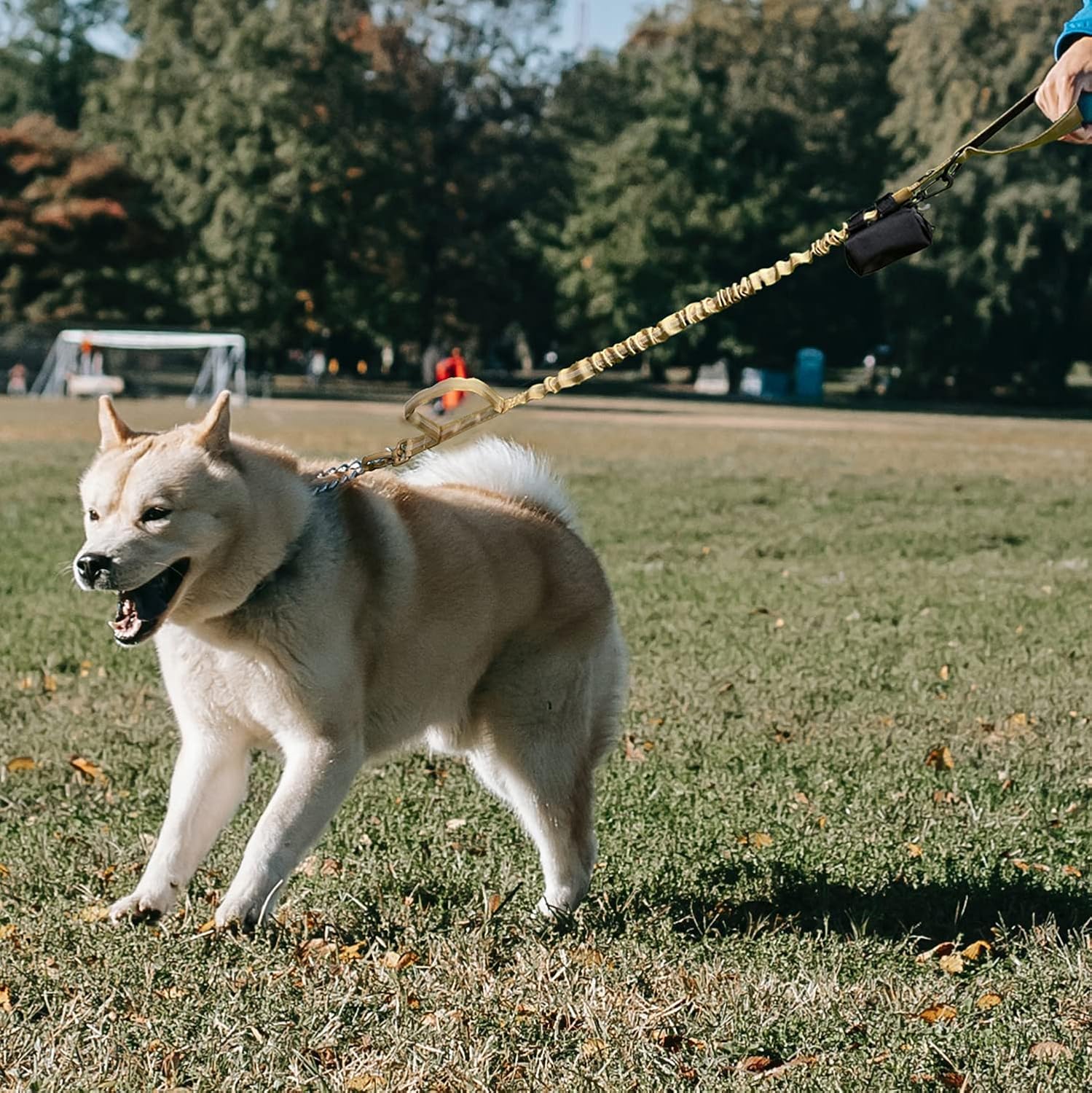 Annalovic Correa elástica para perro con dispensador de bolsas de basura para perros, correa táctica para perro sin tirones para absorción de