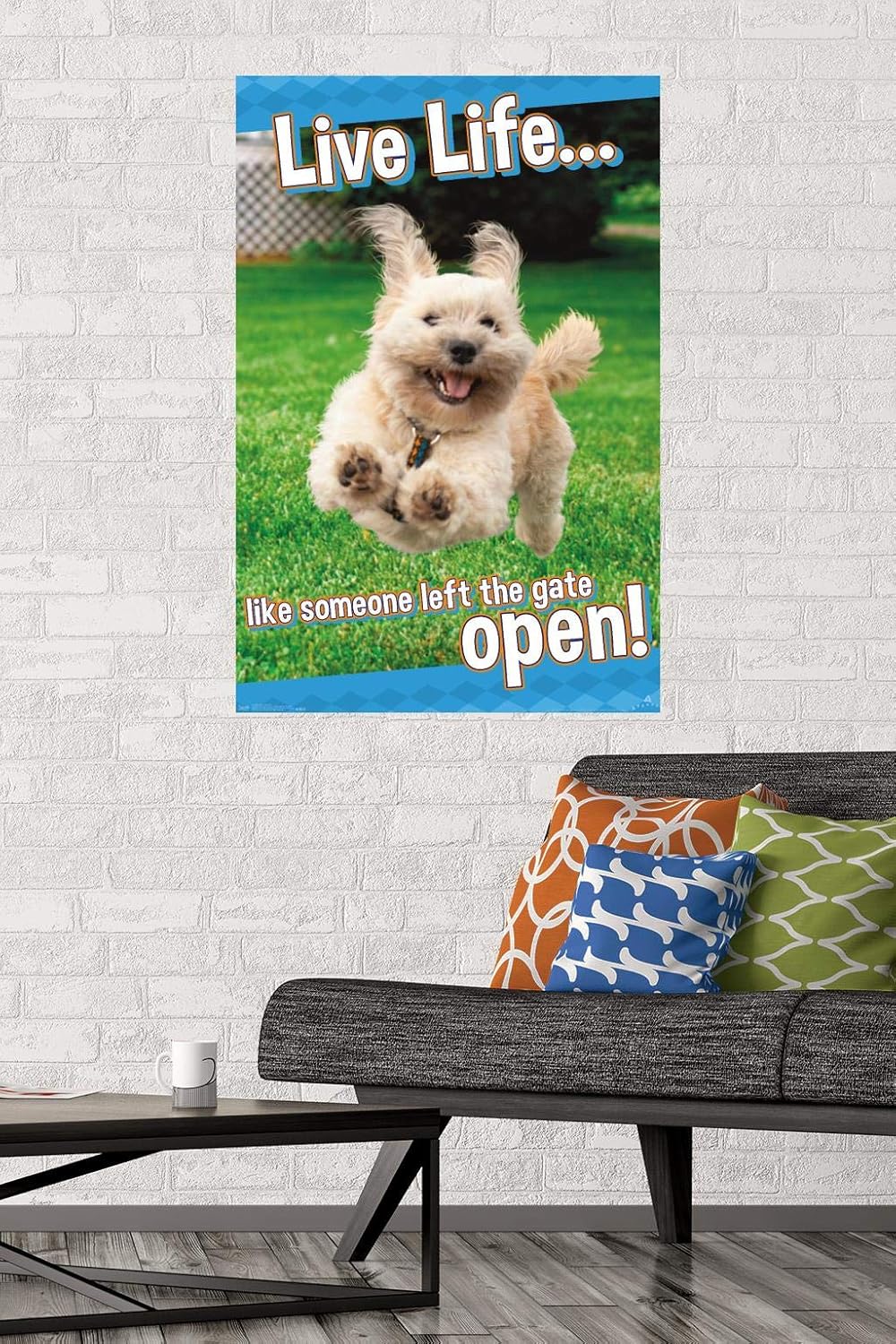 Trends International Avanti – Póster de pared Dog Joy, 22.375 x 34 pulgadas, versión sin marco