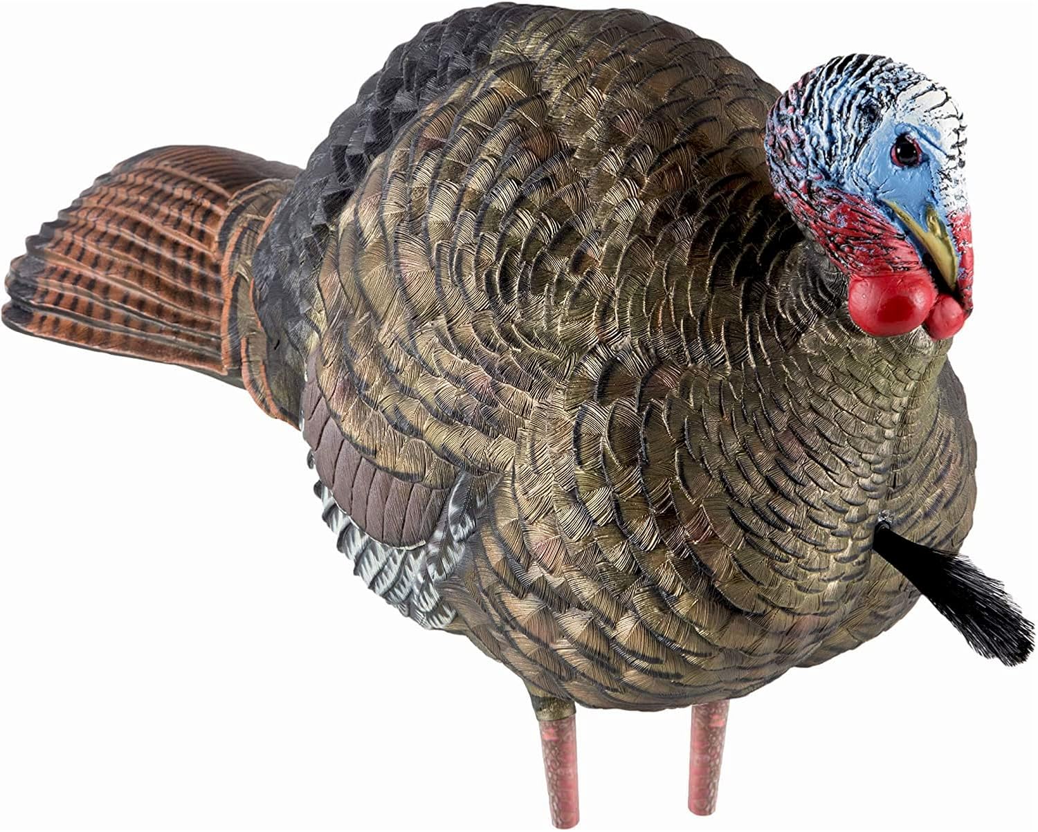Avian-X Señuelo de pavo de Jake de medio puntal LCD  Señuelo de caza plegable realista duradero con bolsa de transporte y estaca, AVX8012
