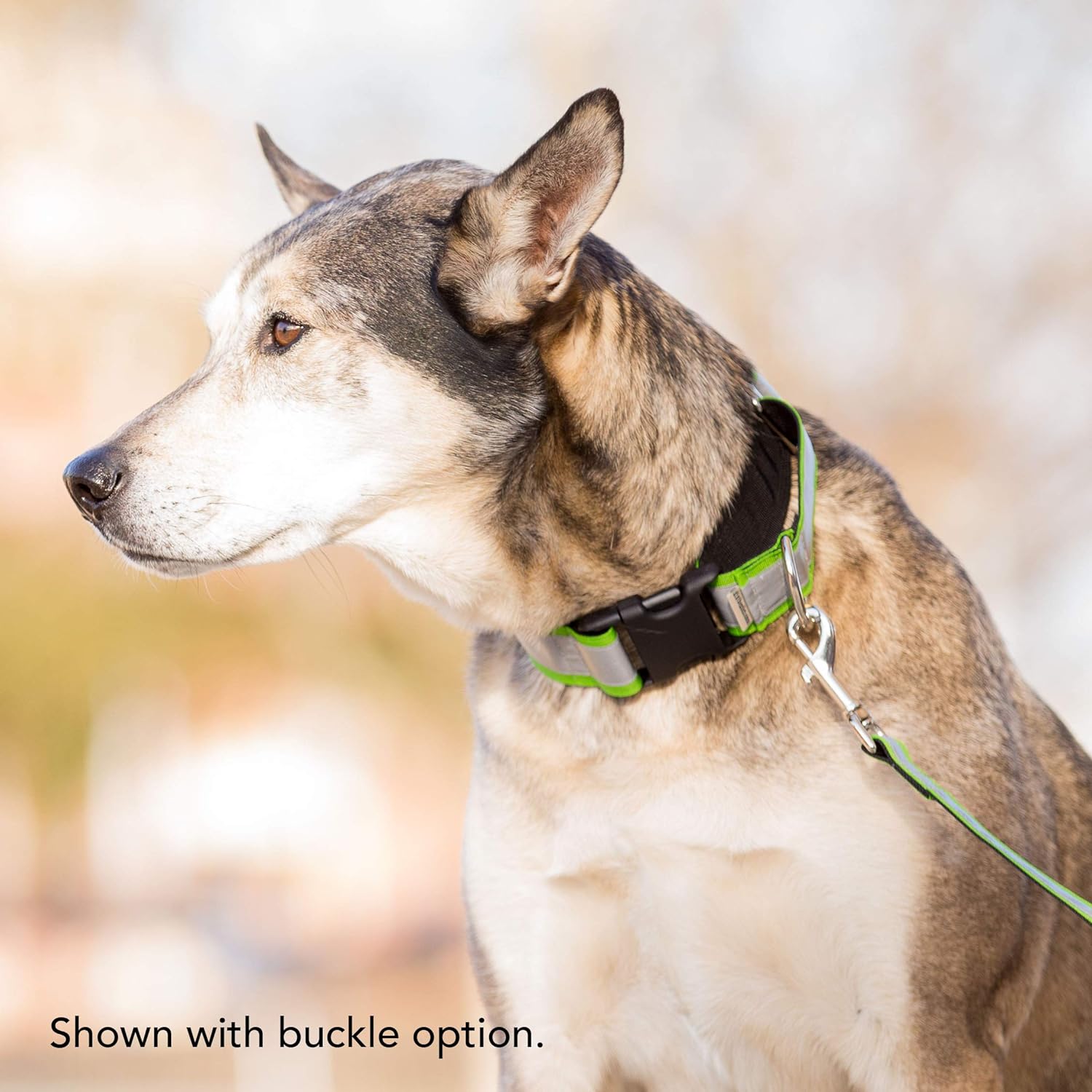 If It Barks – Collar Martingala reflectante de 1.5 pulgadas para perros – Ajustable – Fabricado en Estados Unidos – Fuerte, duradero y cómodo –
