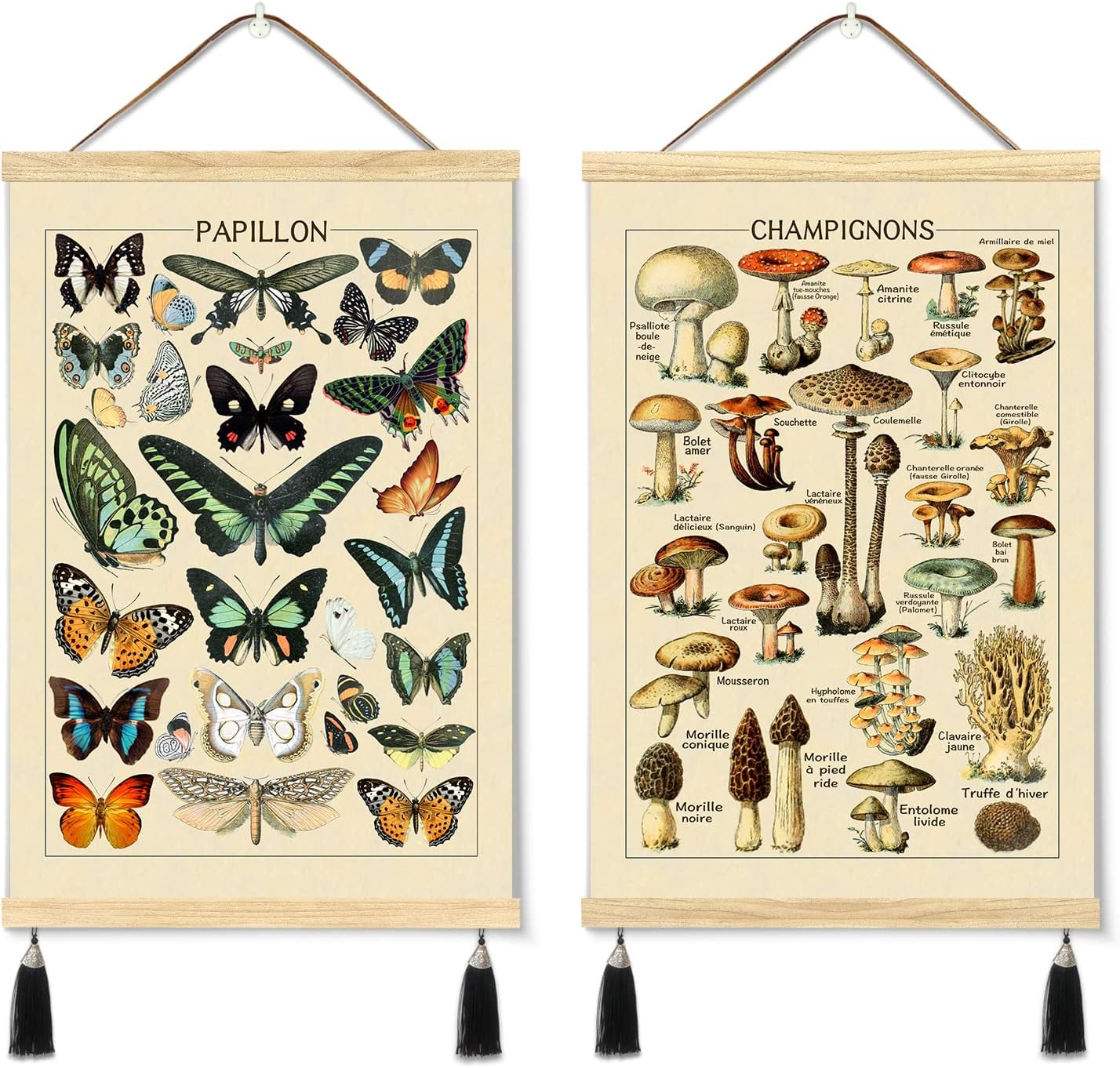 LIYAOLI Póster de hongos y mariposas para colgar en la pared, 2 juegos de 16 x 24 pulgadas, marco magnético de madera para colgar, pósteres de