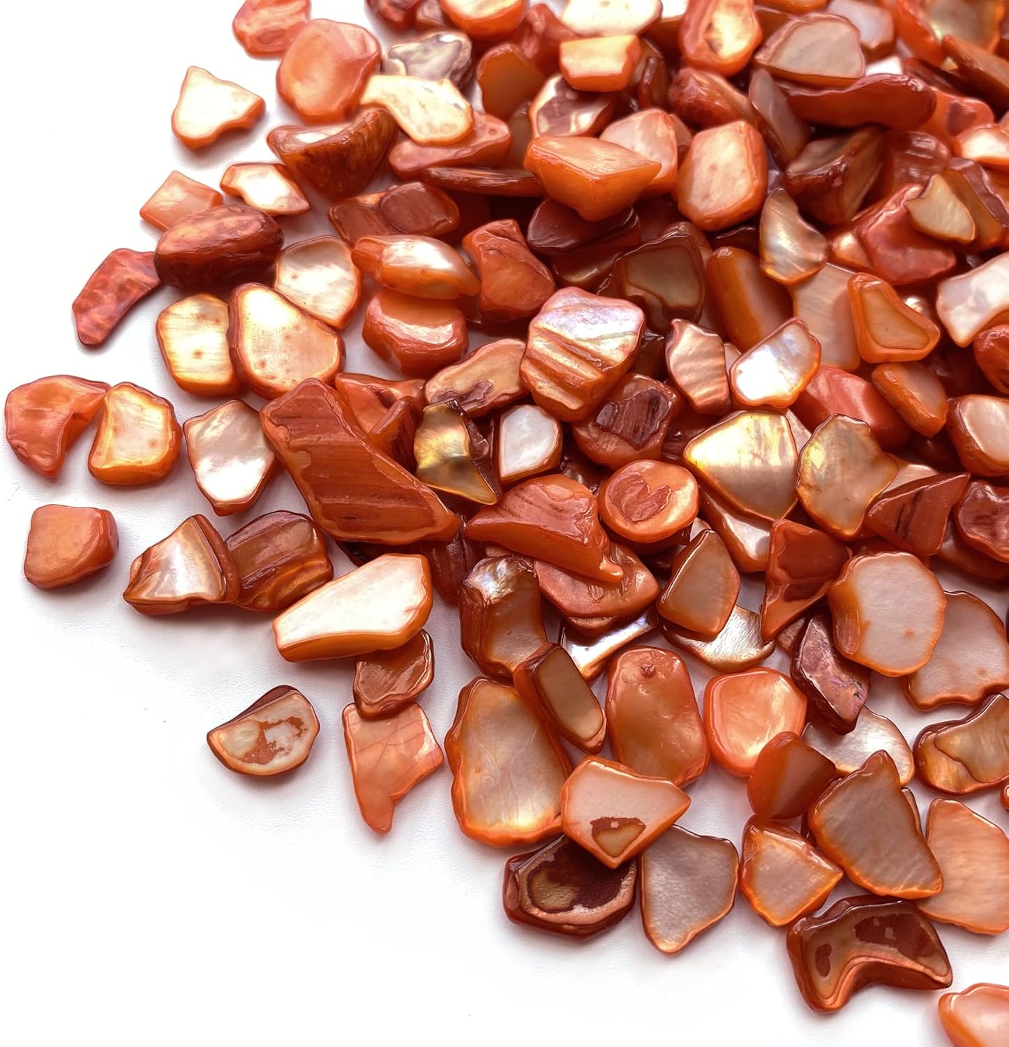 Yew & Tulip Chips de conchas trituradas naturales irregulares, mosaicos de conchas rojas y naranjas de 32 onzas, fragmentos de madreperla para