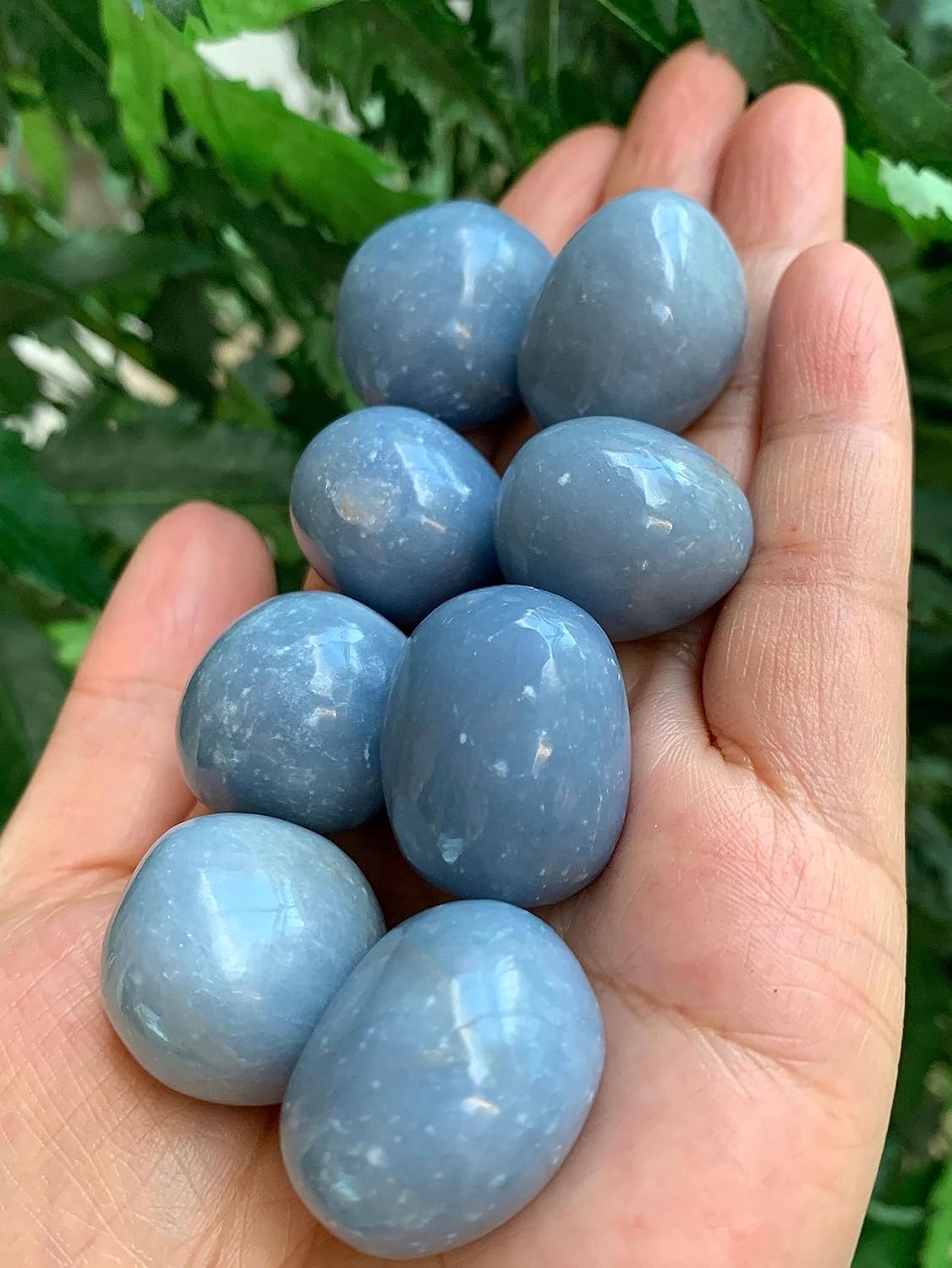 Piedras rodadas de angelita de 12 libra, piedra preciosa de angelita pulida, cristales curativos de angelita (angelita, 0.5 libras)