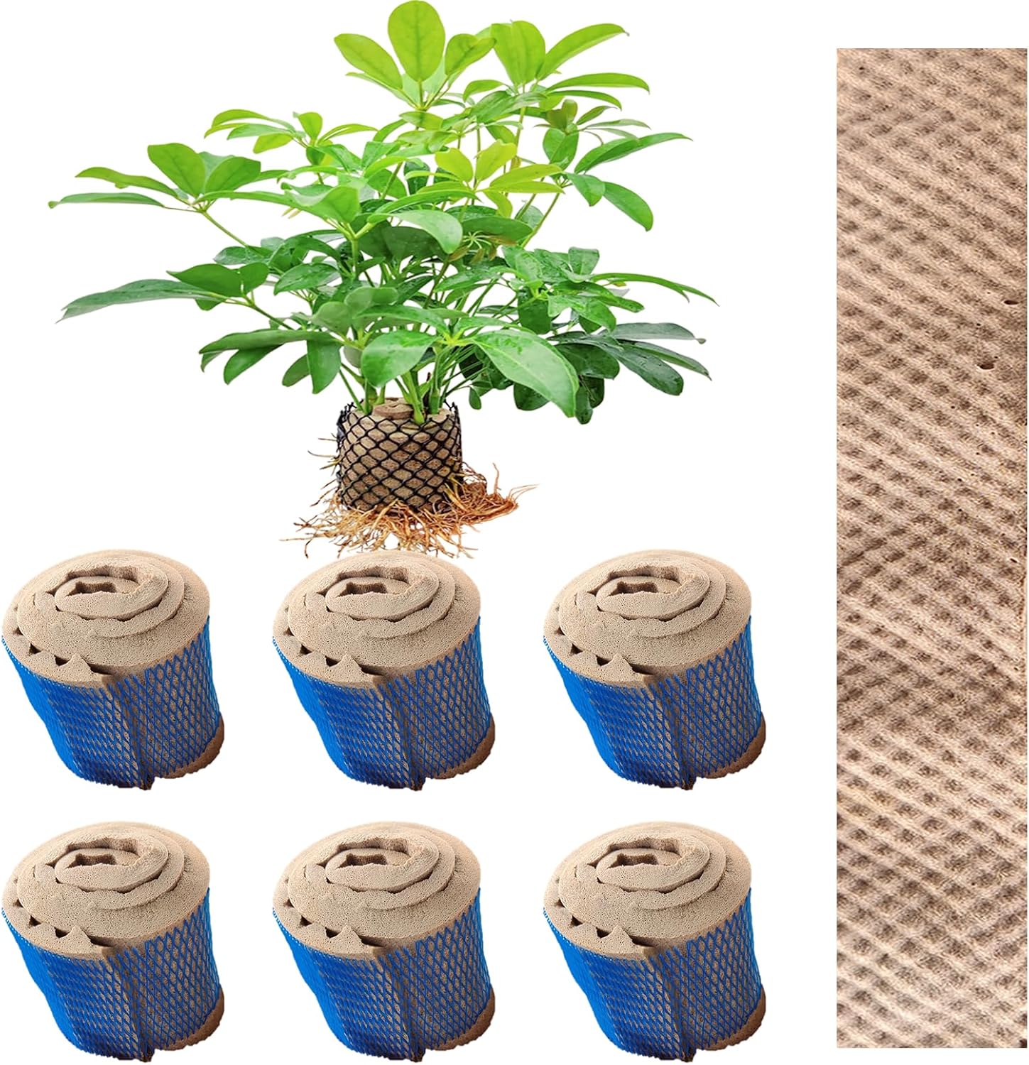 6 cápsulas hidropónicas, esponja hidropónica compatible con varios sistemas de plantación Aero-Garden, esponja de repuesto para crecimiento de