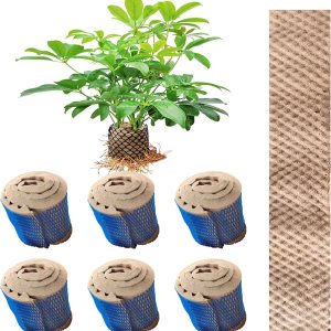 6 cápsulas hidropónicas, esponja hidropónica compatible con varios sistemas de plantación Aero-Garden, esponja de repuesto para crecimiento de 6 cápsulas hidropónicas, esponja hidropónica compatible con varios sistemas de plantación Aero-Garden, esponja de repuesto para crecimiento de