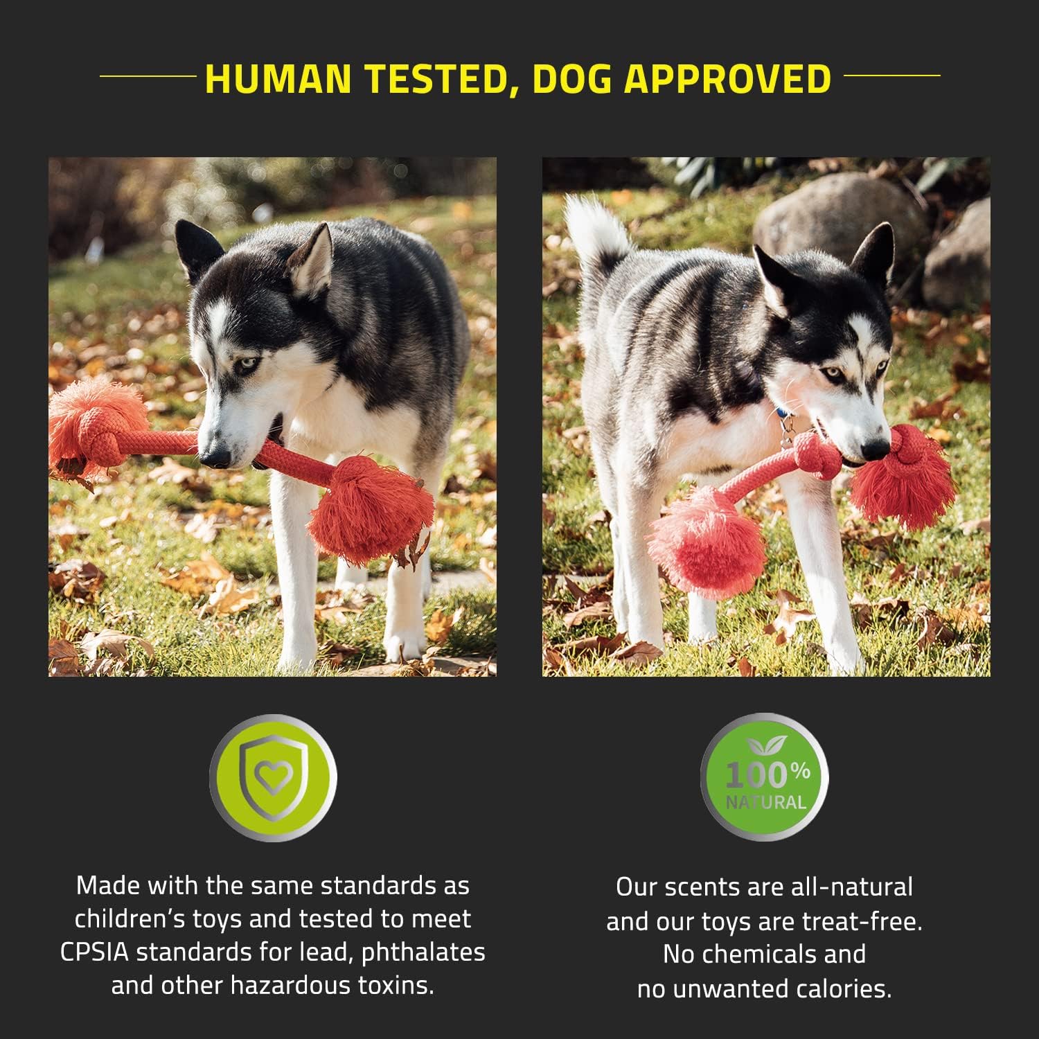 Playology Dri Tech – Juguete masticable para perros medianos (15 a 35 libras) Juguetes para perros con aroma a salsa navideña para masticadores