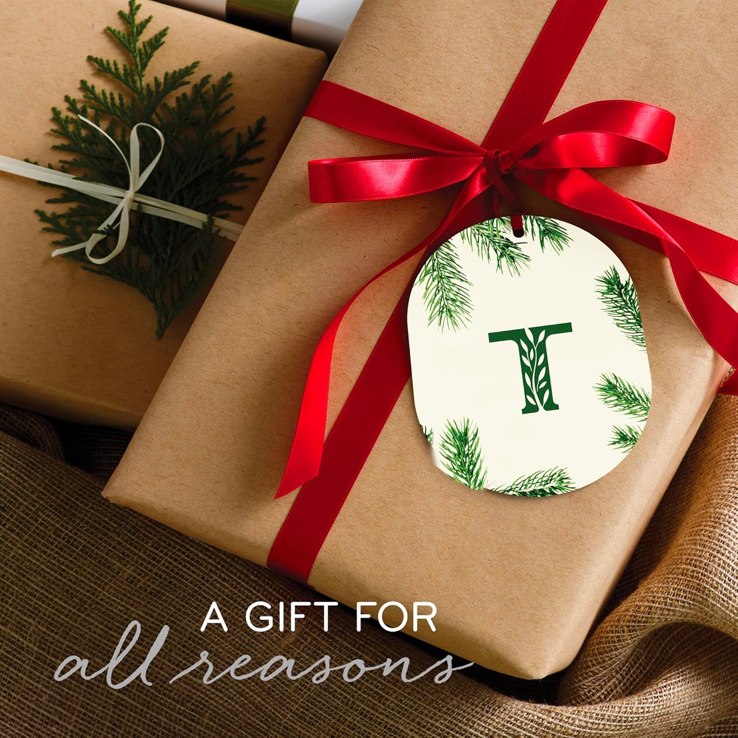 Thymes Frasier Fir Candles – Colección Statement – Plata con diseño de aguja de pino – Velas perfumadas para decoración del hogar – Notas de agujas
