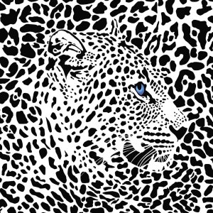 Manta de forro polar con estampado de guepardo, 330GSM, 60 x 80 pulgadas, mullida, cómoda, súper suave, con estampado de guepardo, regalo para Manta de forro polar con estampado de guepardo, 330GSM, 60 x 80 pulgadas, mullida, cómoda, súper suave, con estampado de guepardo, regalo para