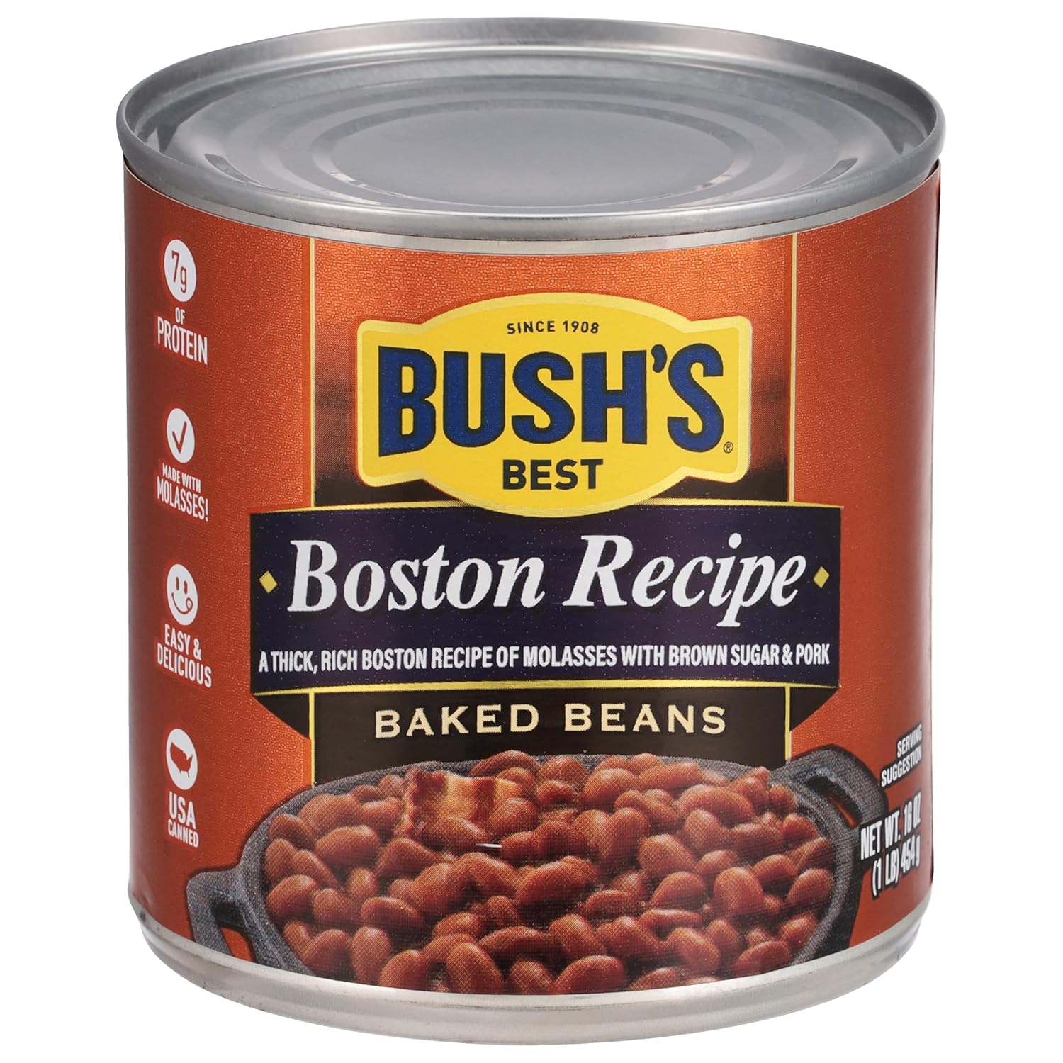 BUSH’S BEST Frijoles pintos enlatados de 16 onzas, fuente de proteína y fibra a base de plantas, bajo en grasa, sin gluten, ideal para sopas,