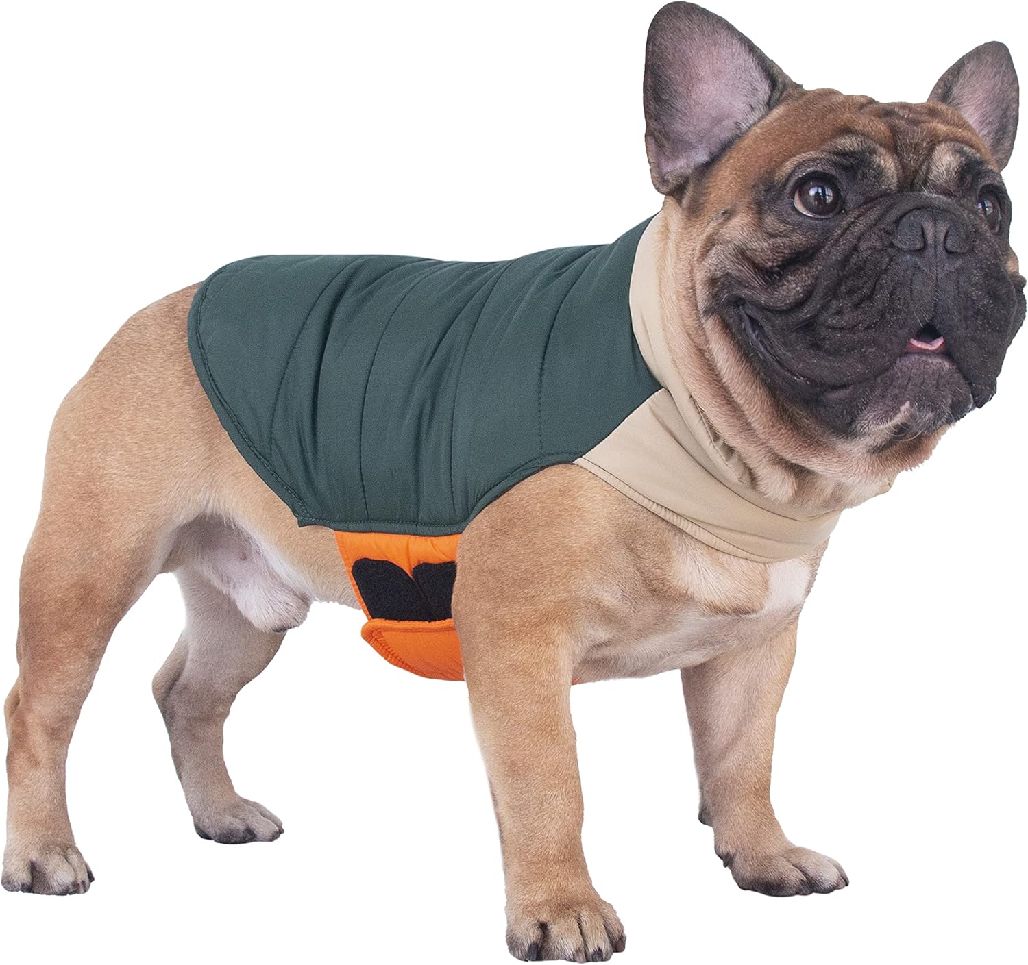 iChoue Abrigos de invierno de bulldog francés, chaquetas para perro, chalecos acolchados de algodón para Pug English Boston Terrier Pitbull –