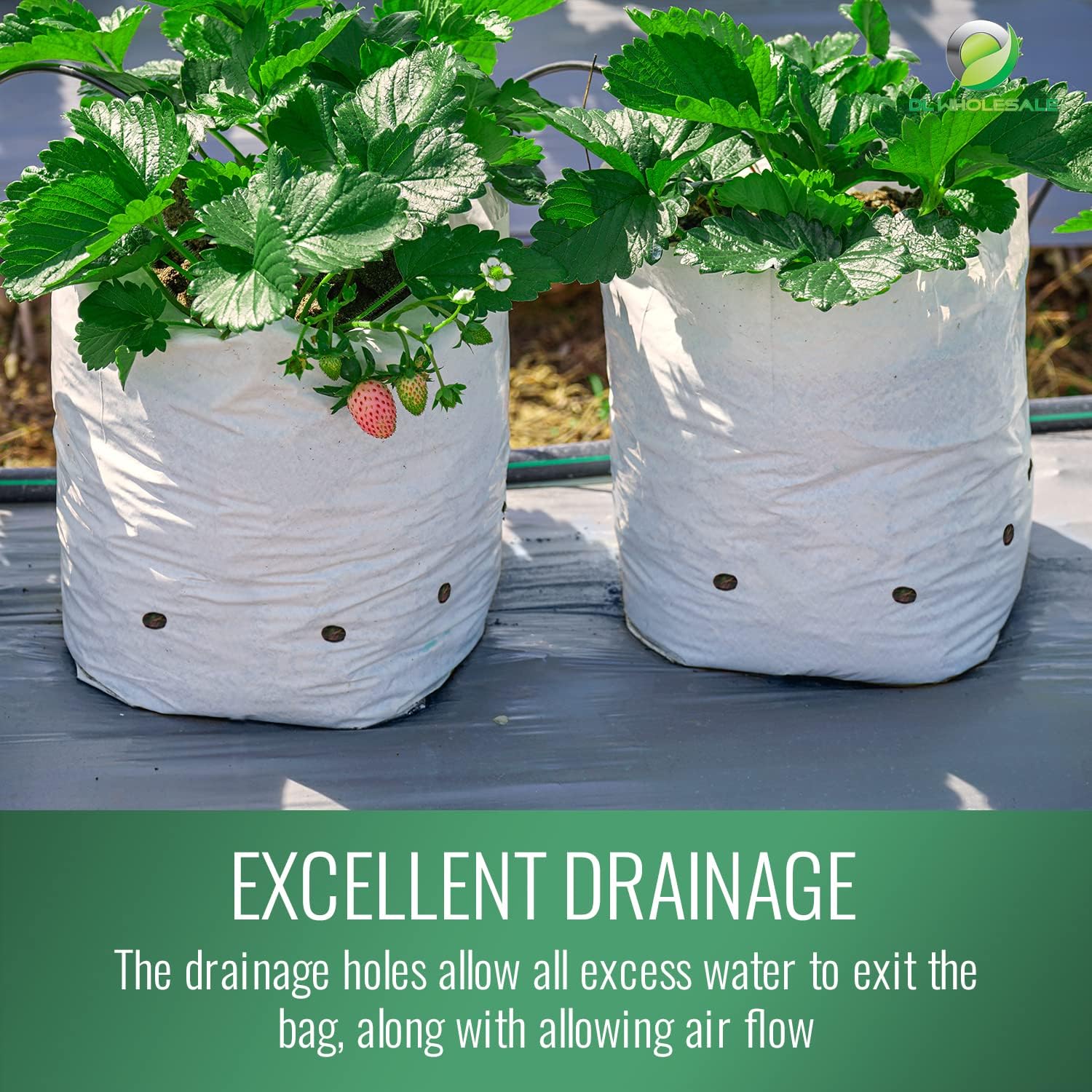 Grow1 Bolsas de cultivo de 3 galones (paquete de 50) bolsas de polietileno en blanco y negro para plantas, perfectas para bolsas de vivero de