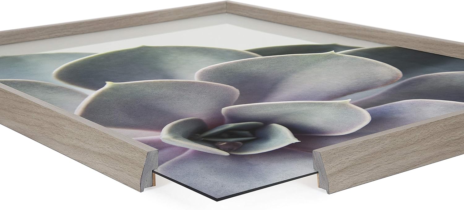 Kate and Laurel Blake Succulent – Arte de pared de vidrio impreso con 5 marcos por Emiko y Mark Franzen de F2Images, 18 x 24 pulgadas, color gris,