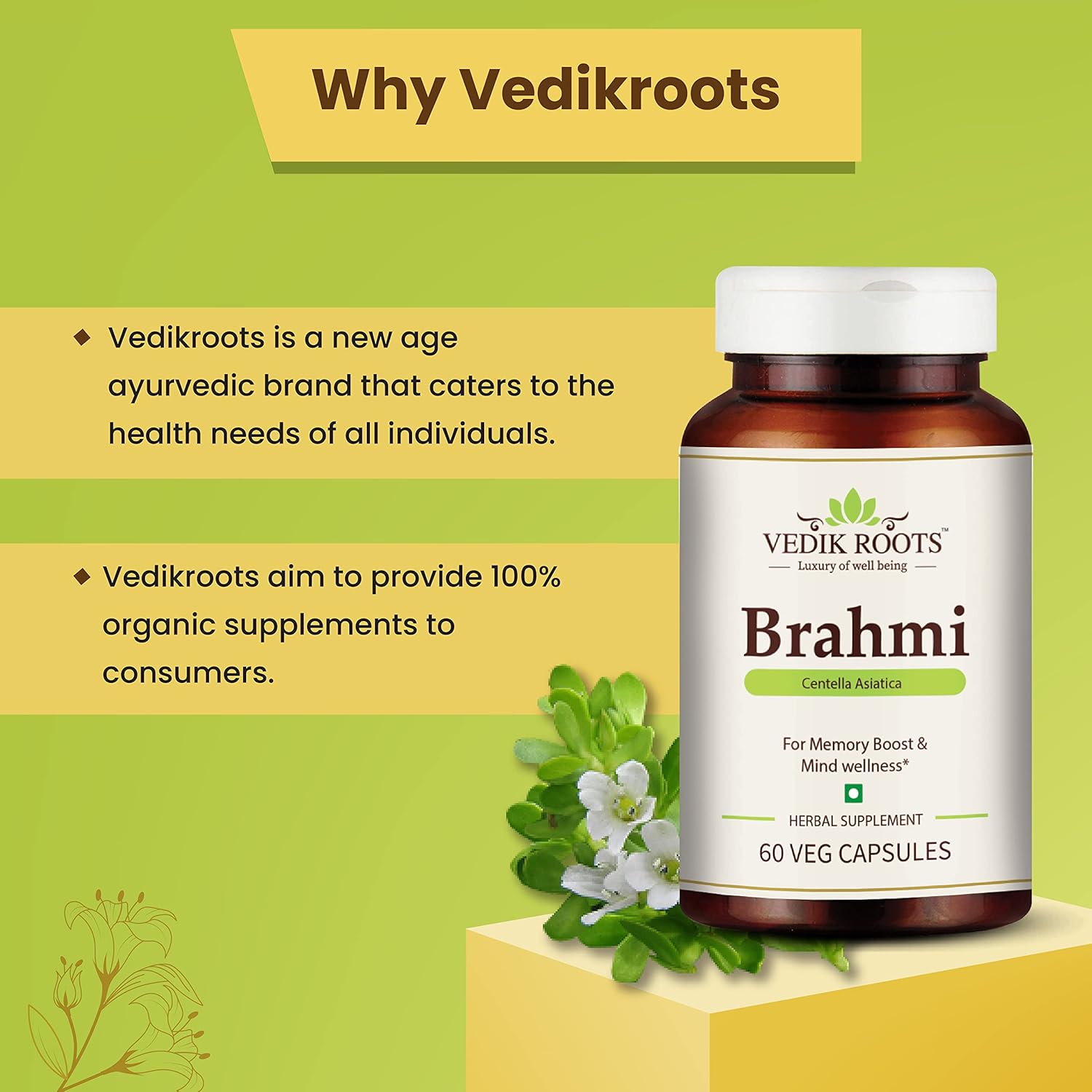 Brahmi (Bacopa Monnieri) Extracto puro 450 mg cápsulas vegetales (60 cápsulas) (paquete de 1)