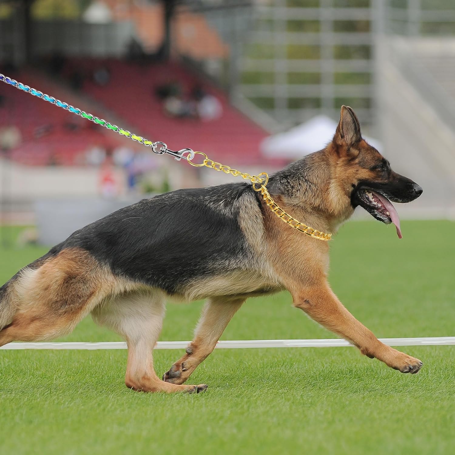 Mogoko Collar de cadena de acero inoxidable para perro, collar de metal para cachorros, collar deslizante de cadena en P para entrenamiento de