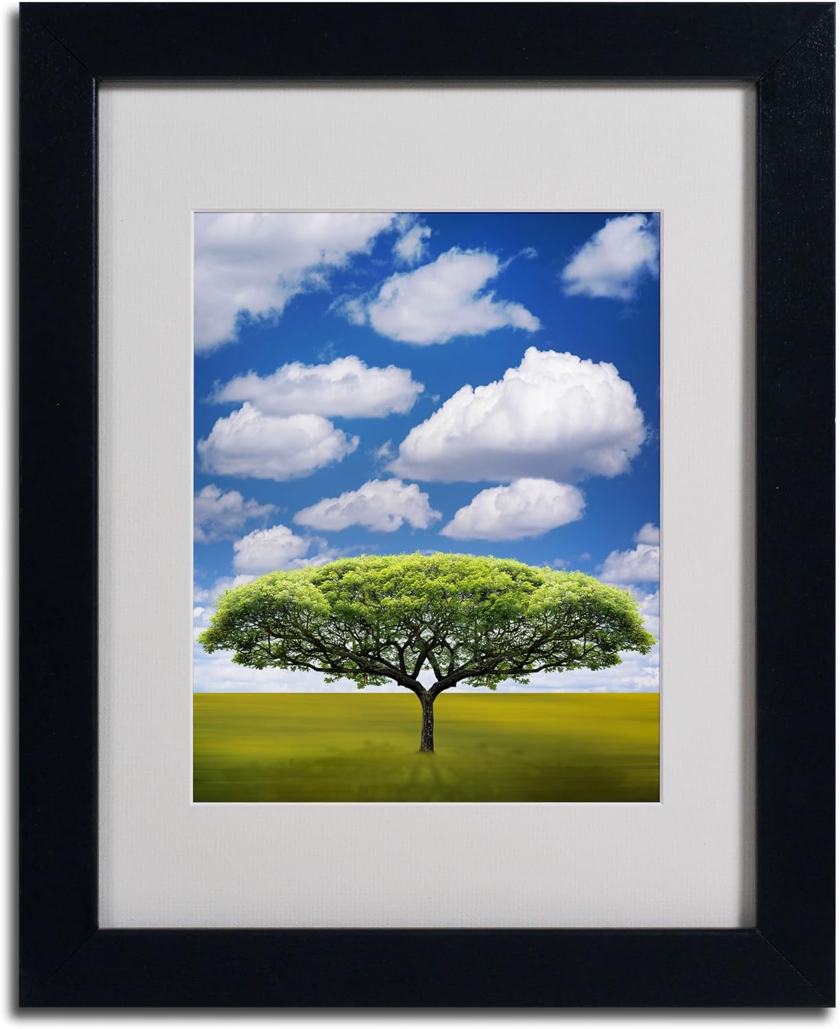 Marca Fine Art improbable Espacio Abierto por Philippe Sainte-Laudy Canvas Wall Art