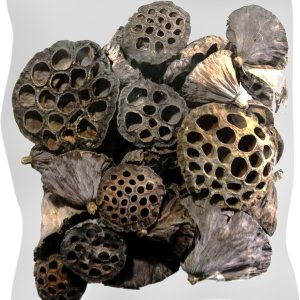 SuperMoss (20802 – Cápsulas de loto de 40 piezas, marrón, mezcladas SuperMoss (20802 – Cápsulas de loto de 40 piezas, marrón, mezcladas