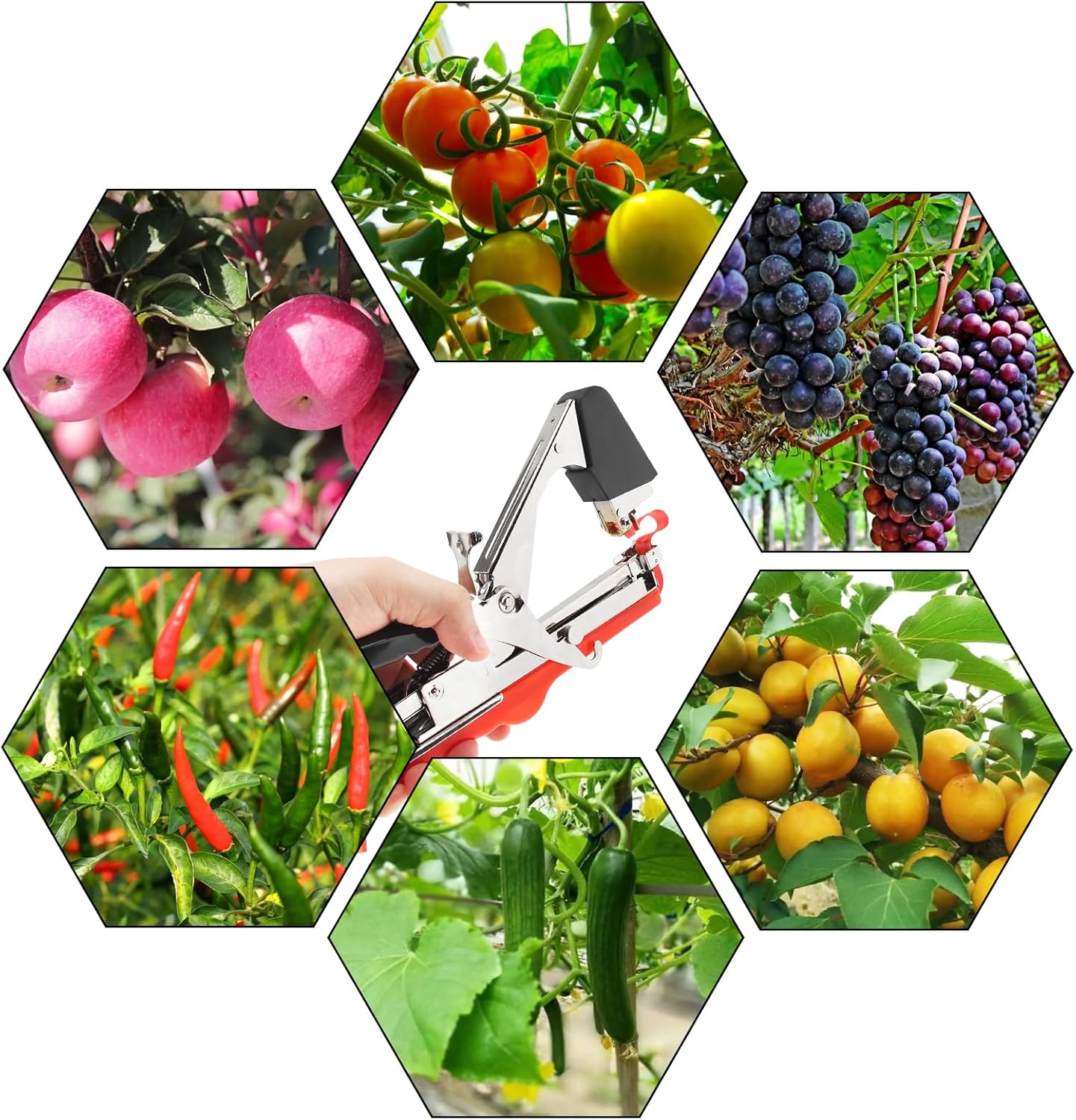 Máquina para atar plantas, cinta de tomate ligera mejorada, herramienta de cordel de fruta roja para jardín, verduras, uva, pepino, pimienta con 20