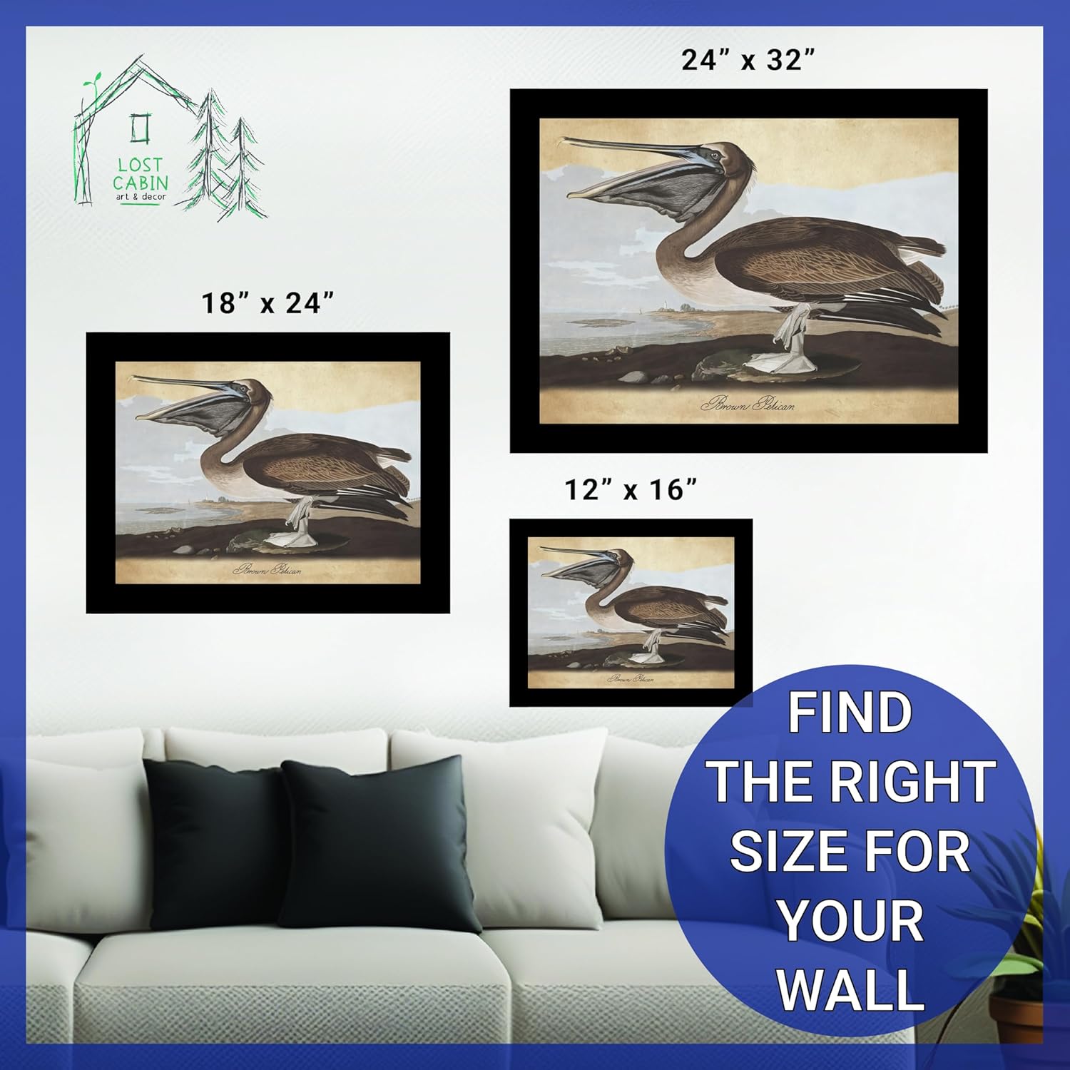 Brown Pelican por James Audubon – Marco biselado negro de 12 x 16 pulgadas  Decoración artística enmarcada  Reproducción de pinturas de obras de