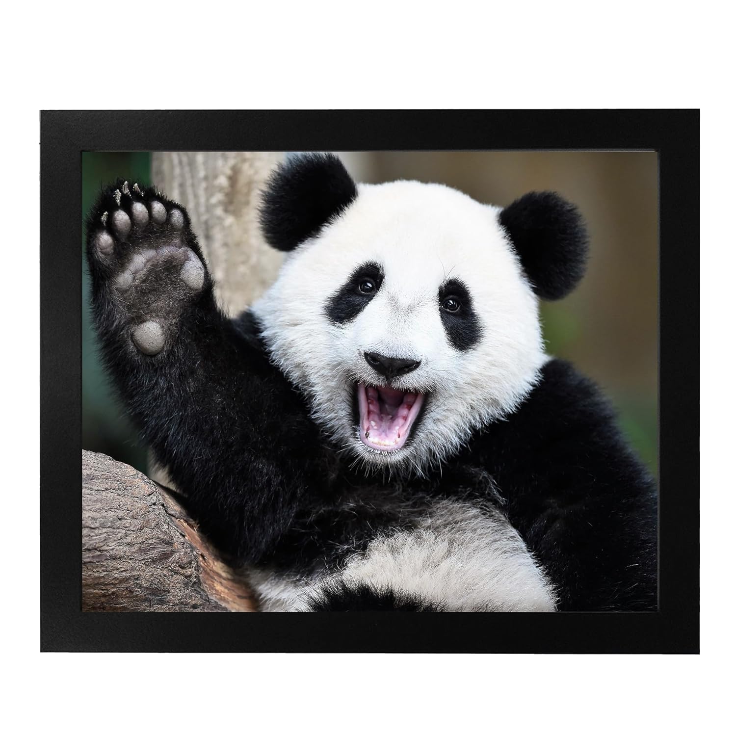 Happy Panda Waving Hi – Animal Wall Decor, Funny Wall Art Animal Themed Photo Print is Ideal for Home Decor, Nursery Decor & Kids Room Decor.