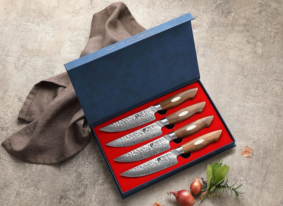XINZUO Juego de 4 cuchillos para carne de 5 pulgadas, acero japonés AUS-10 de 67 capas forjados de Damasco con caja de regalo, cuchillo de mesa de