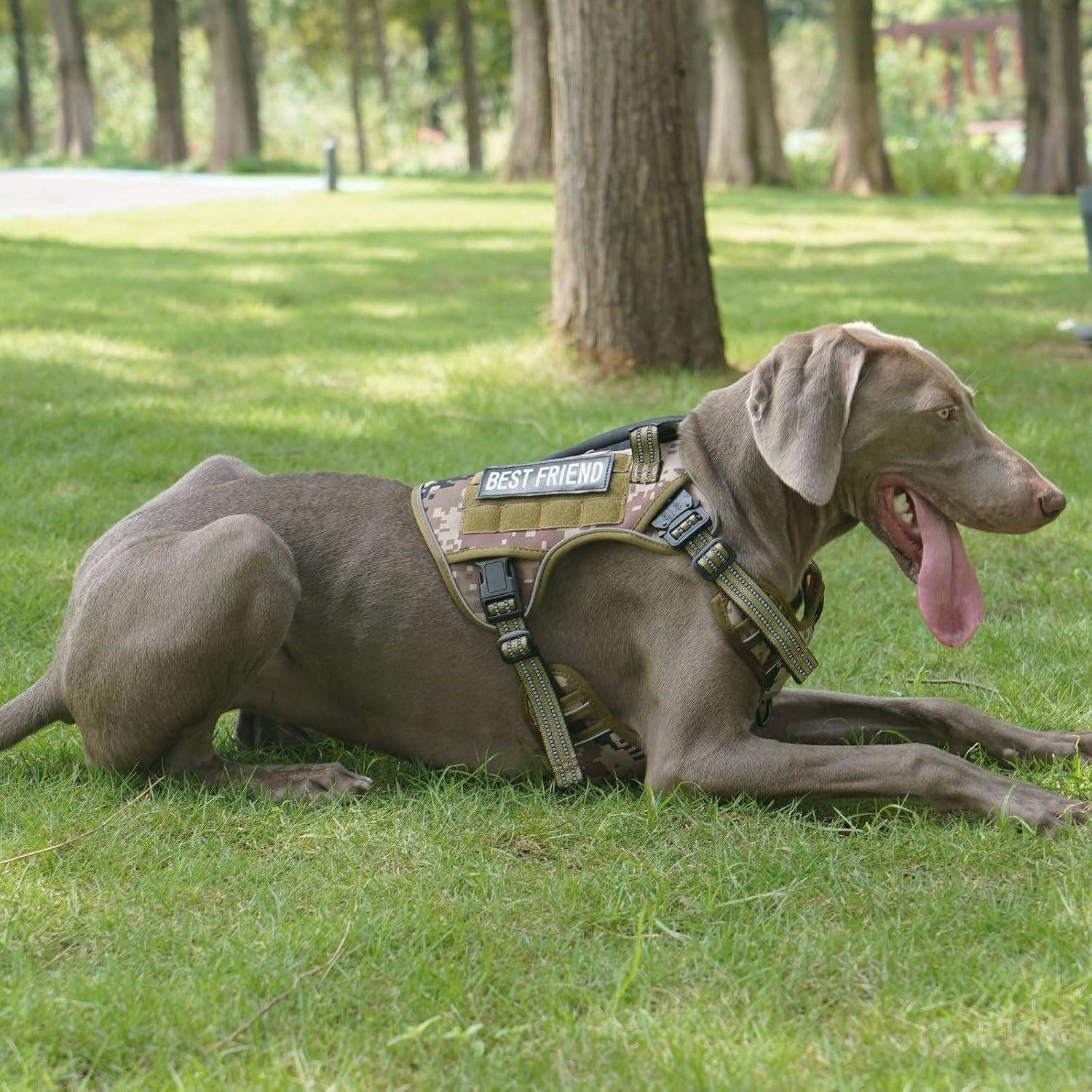 SANHSEHOME AirTag – Arnés táctico para perro con bolsillo rastreador GPS para perros grandes, arnés ajustable con asa reflectante militar para