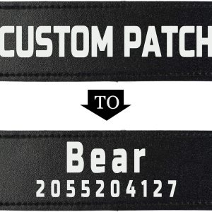 2 parches personalizados para chaleco para perro, parches tácticos extraíbles personalizados para arnés de perro, perro de servicio en entrenamiento 2 parches personalizados para chaleco para perro, parches tácticos extraíbles personalizados para arnés de perro, perro de servicio en entrenamiento