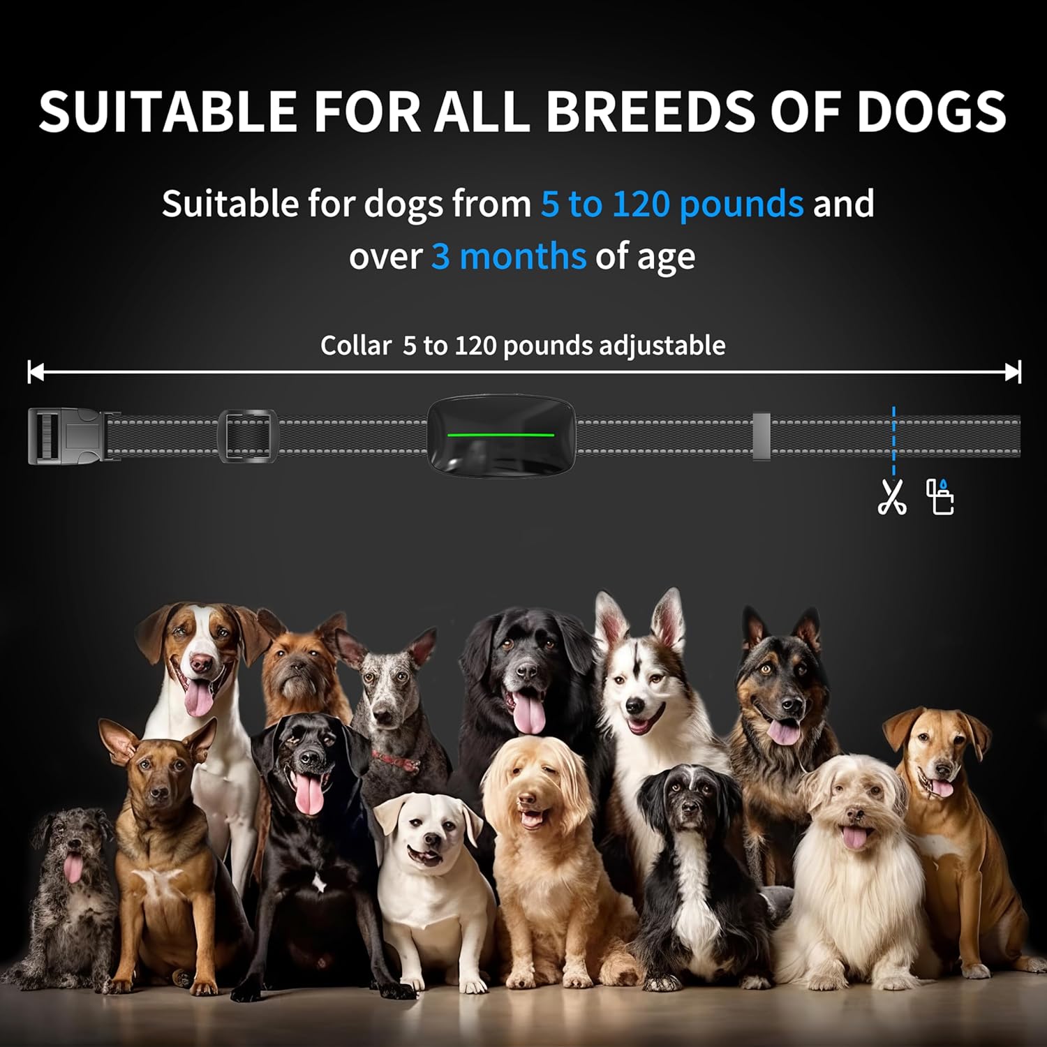 Collar de choque de entrenamiento para perros de 3300 pies con control remoto IP67 resistente al agua con 4 modos de entrenamiento, pitido,