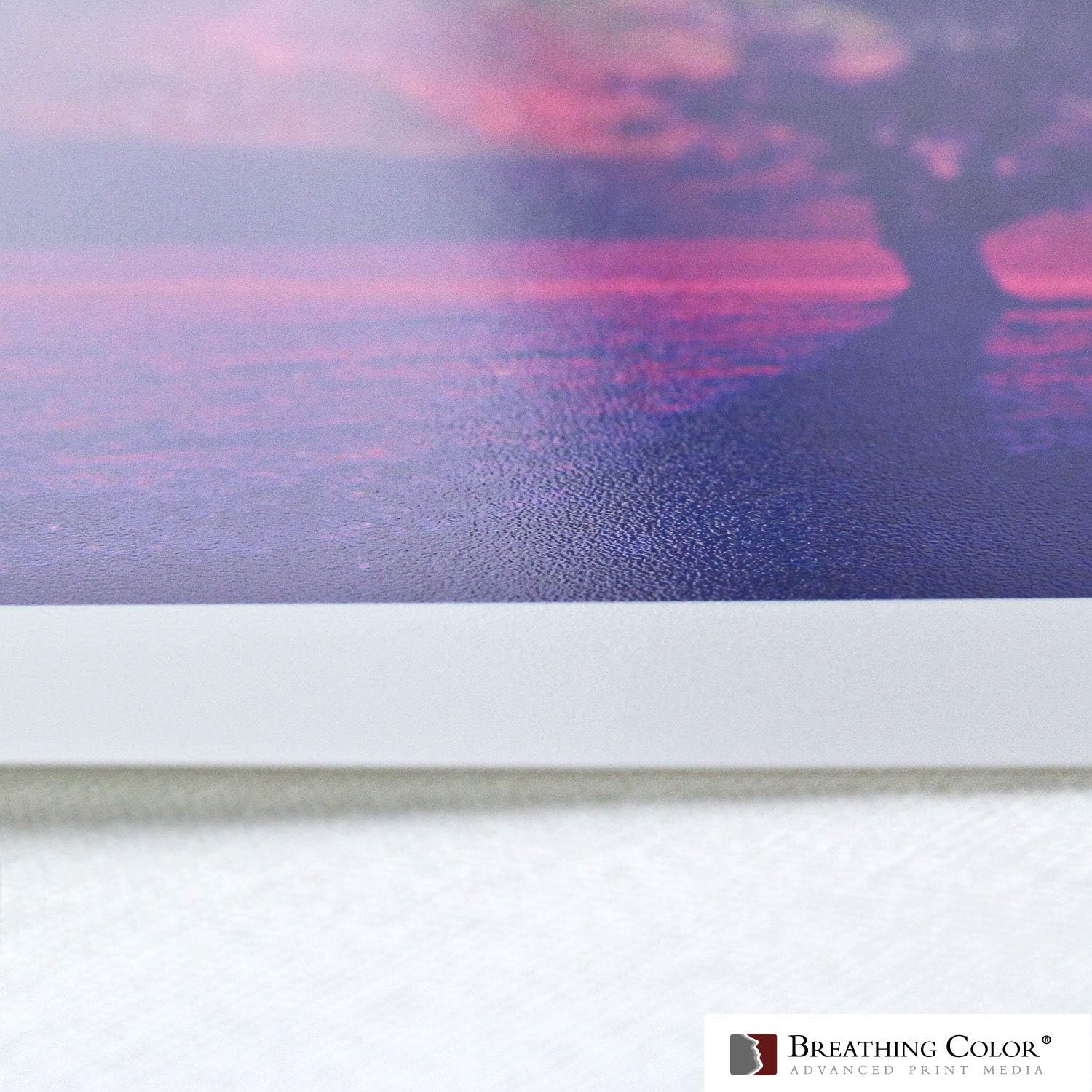 Vibrance Luster – Papel para impresora fotográfica, 8.99 ozm, acabado brillante, rollo de papel fotográfico prémium con núcleo de 3 pulgadas, 60
