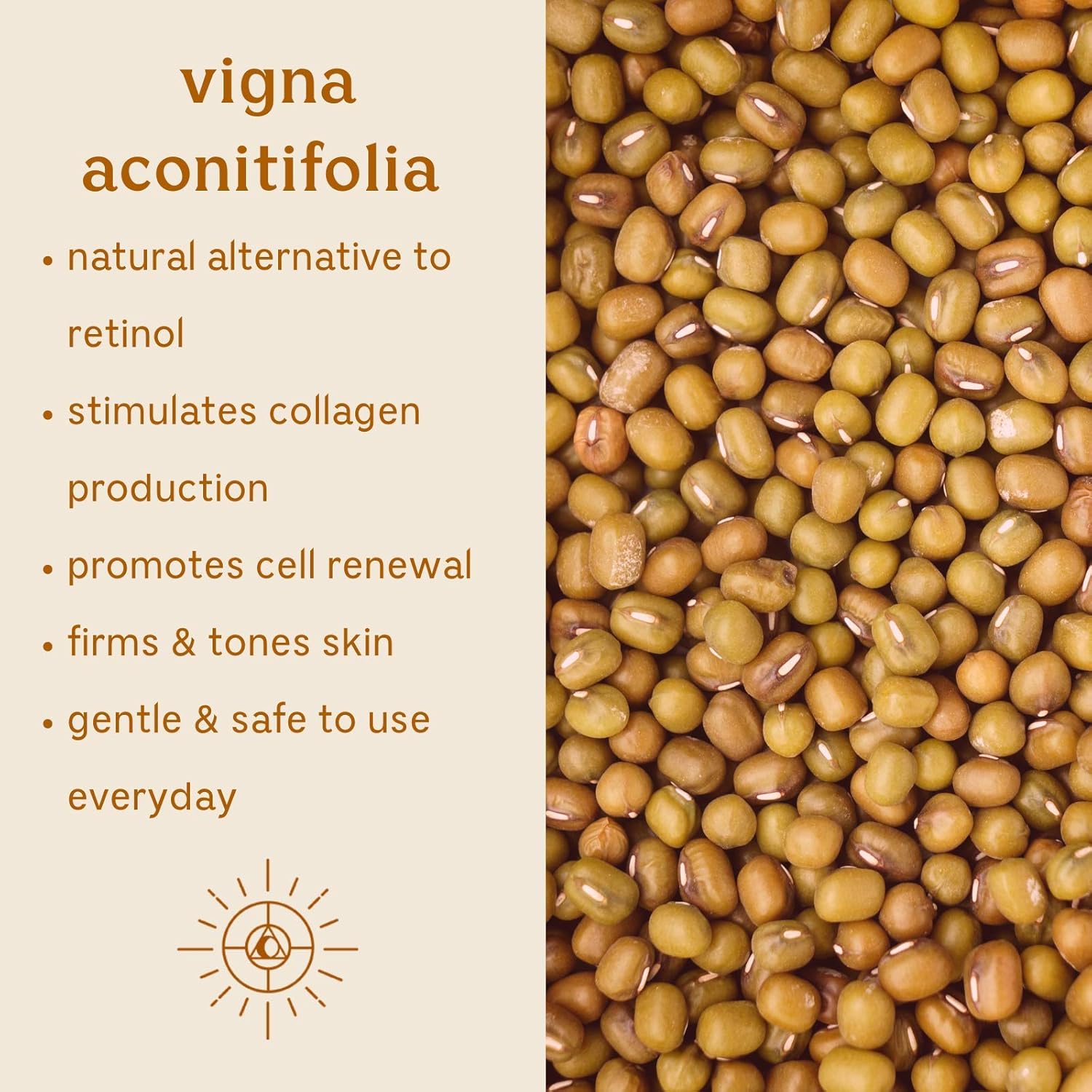 Solluna by Kimberly Snyder Hidratante Feel Good hidratante hidratante, estimulante de colágeno y antienvejecimiento con alternativa natural al
