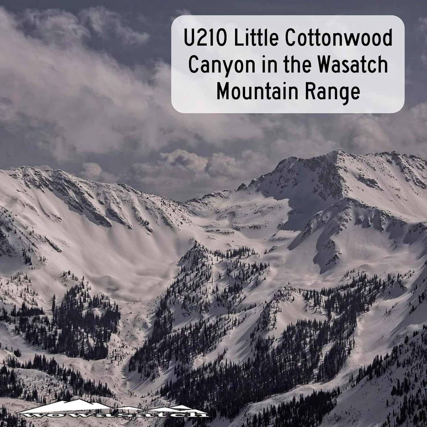 STATE 45 Utah Adhesivo para parachoques  U210 The Road to Snowbird – Calcomanía para parachoques  Adhesivo para esquí y snowboard  Little Cottonwood