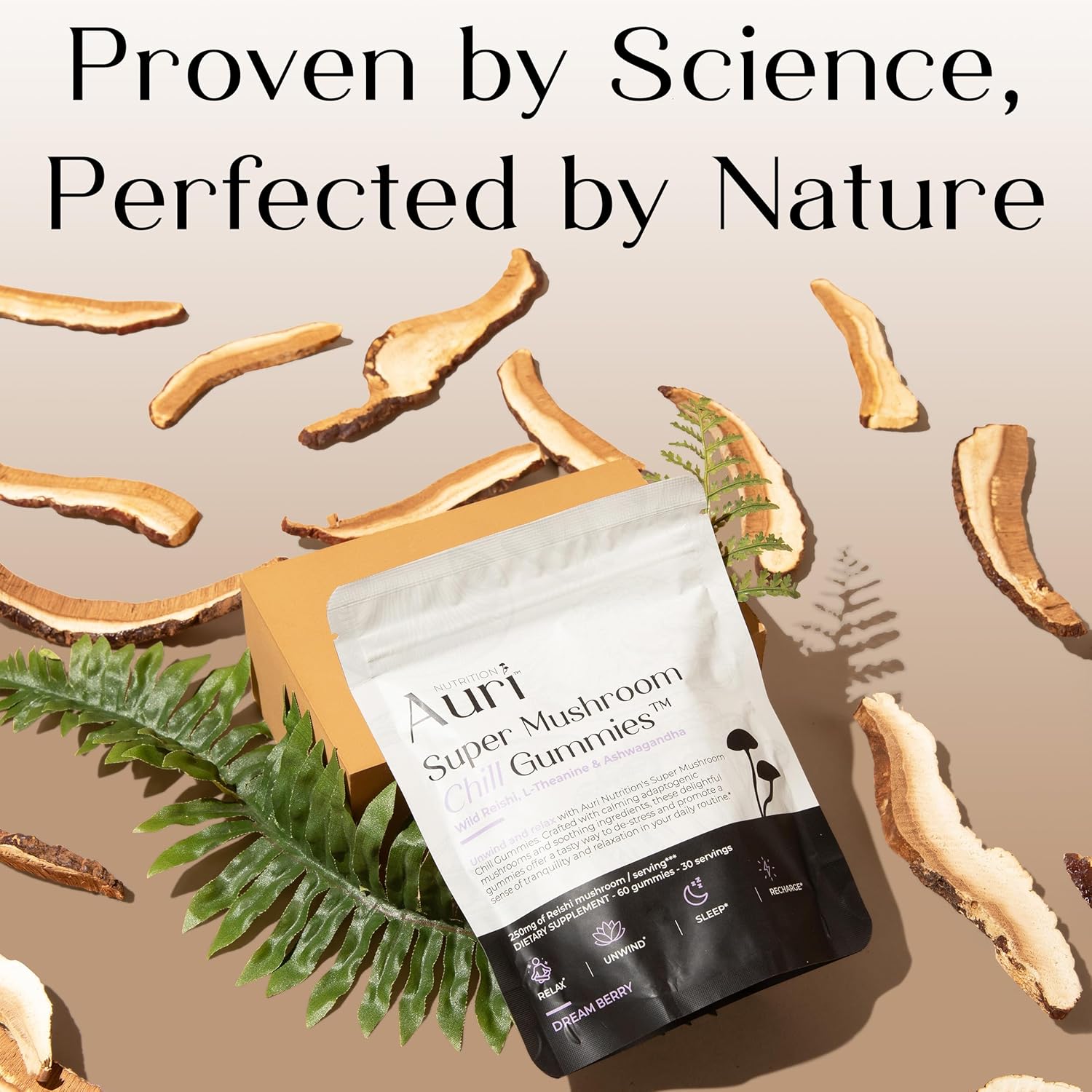 Auri Gomitas Super Mushroom Chill  Ayuda calmante natural y suplemento de reducción del estrés para adultos con hongo Reishi, Ashwagandha, L-teanina