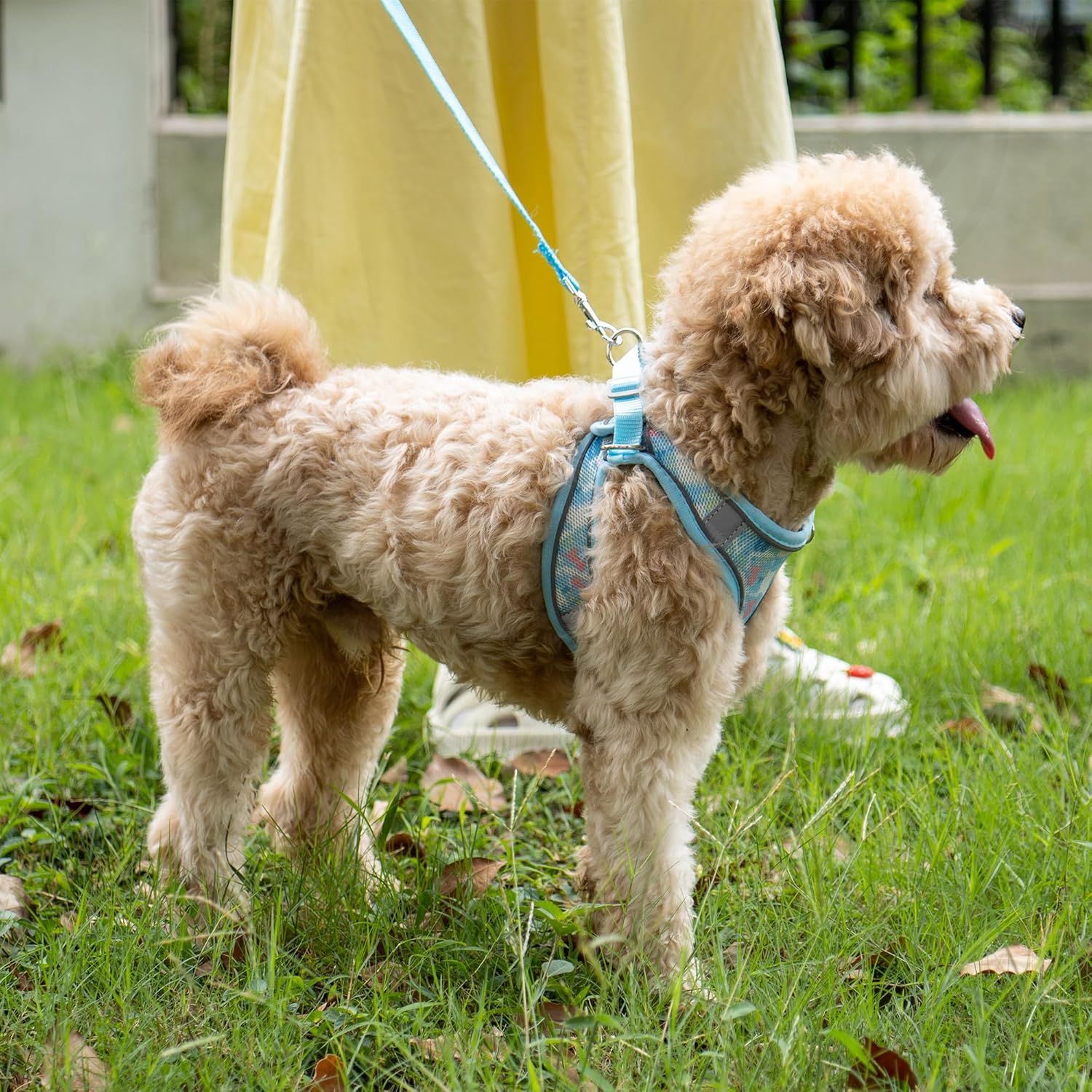 JOYPAWS Juego de arnés y correa para cachorro, arnés de chaleco para perro con malla transpirable, rayas reflectantes, arnés ligero para mascotas