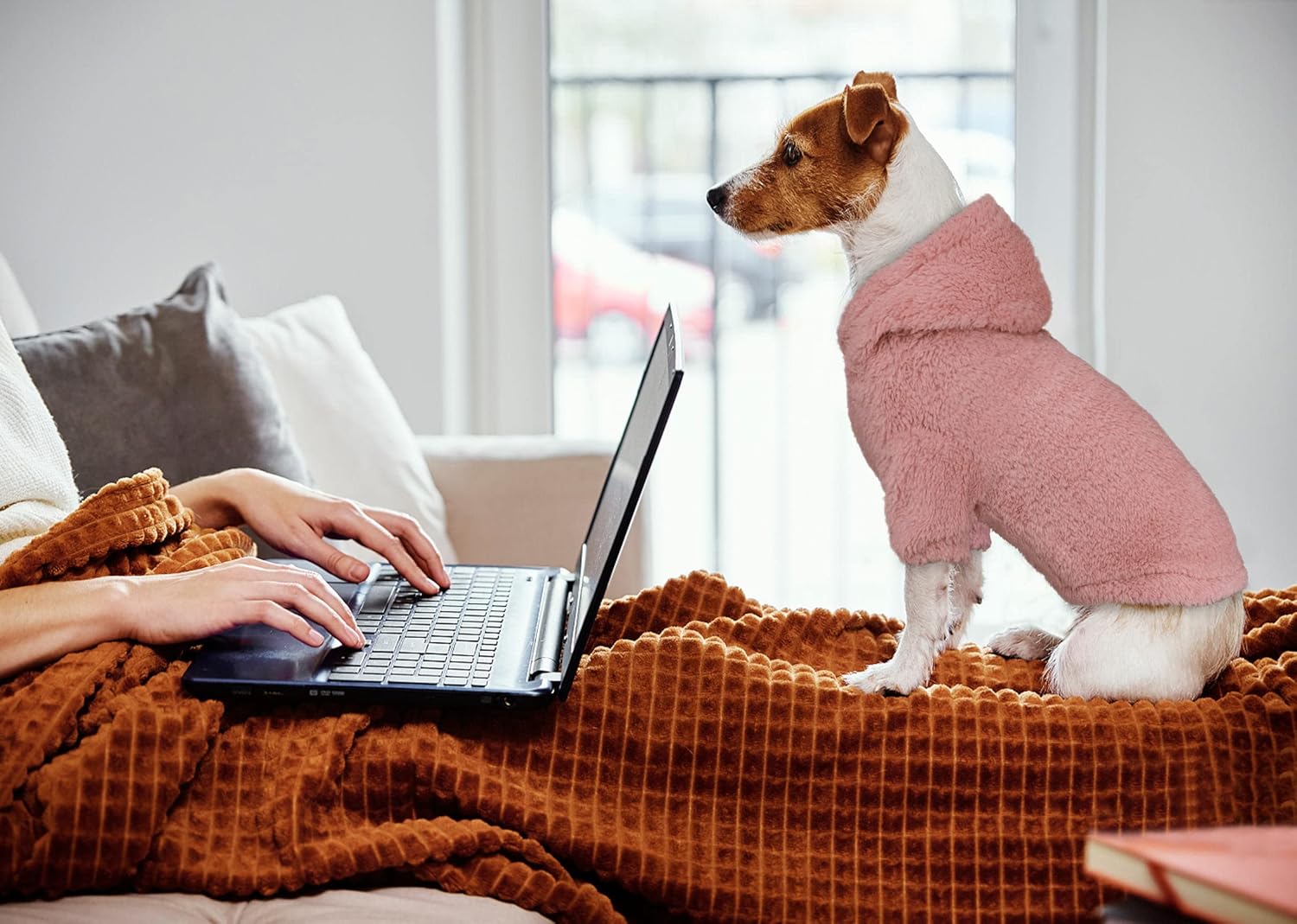 Sudadera con capucha para perro, ropa para perro, ropa para perro, abrigos, suaves, acogedores, sudadera con capucha de forro polar para perros