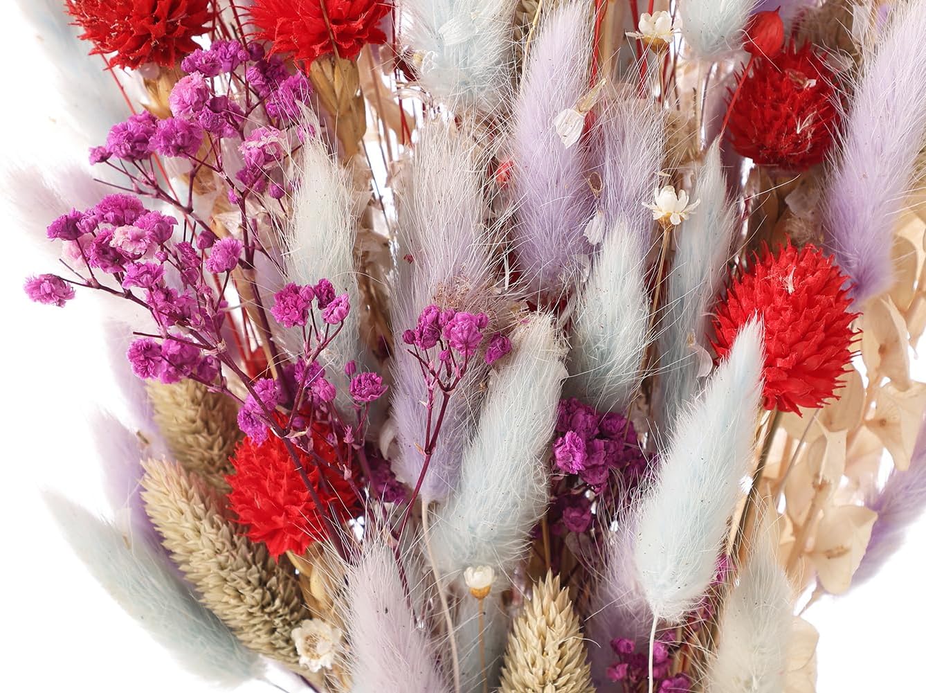 Botius Ramo de flores secas mixtas naturales de 17 pulgadas, hierba de cola de conejo, aliento de bebé, crisantemo, Phalarit Canariensis, avena para