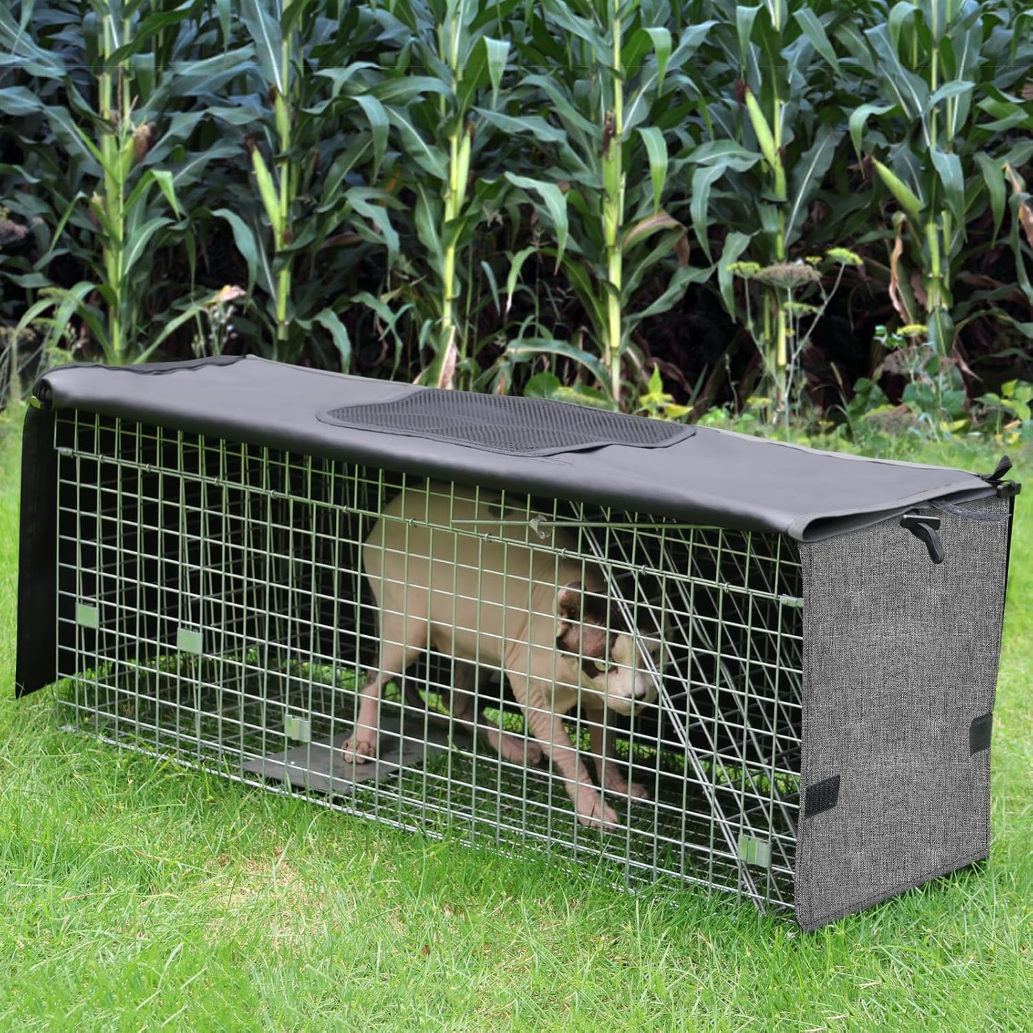 Funda para jaula de trampa de animales, cubierta de jaula trampa con ventana transpirable para trampa para gatos salvajes de 1 a 2 puertas de 32 x
