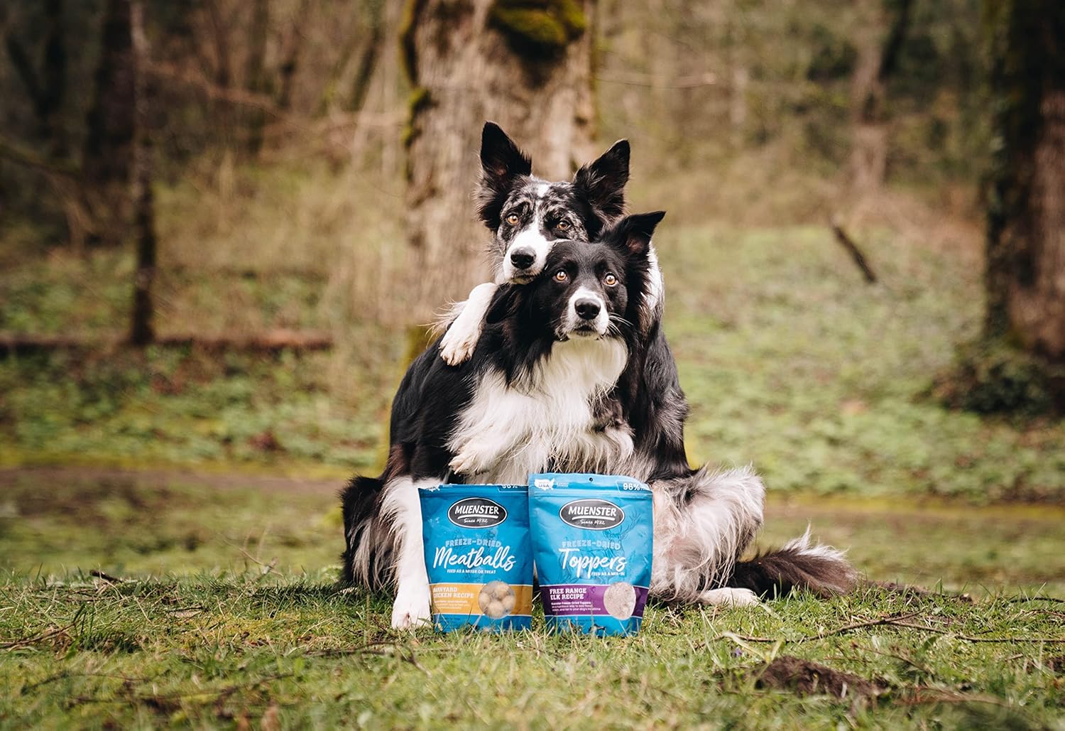 Muenster Receta de alce liofilizado para perros, paquete de 8 onzas