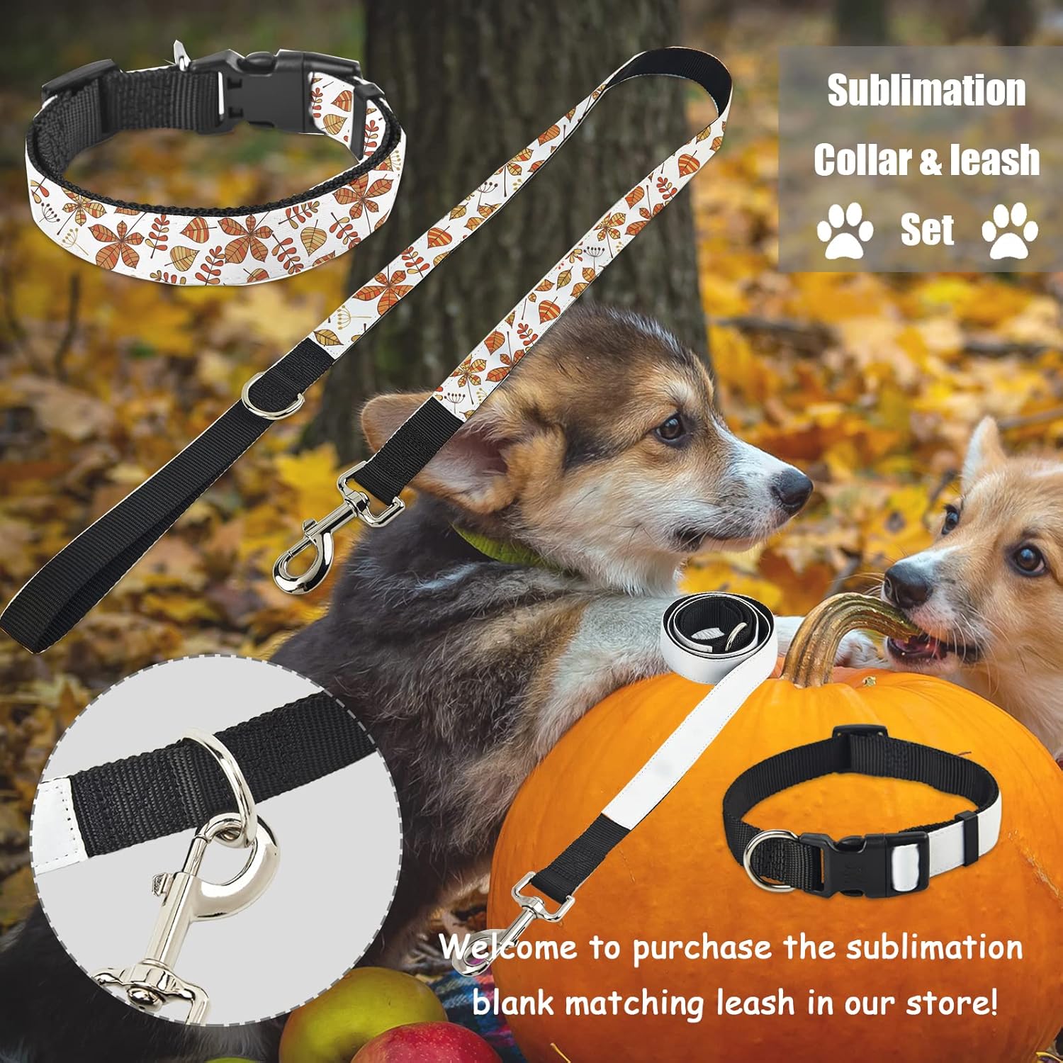 WindMage Paquete de 5 collares de sublimación para perro, tamaño M2, en blanco, liso, personalizado con hebilla ajustable de liberación rápida, 4