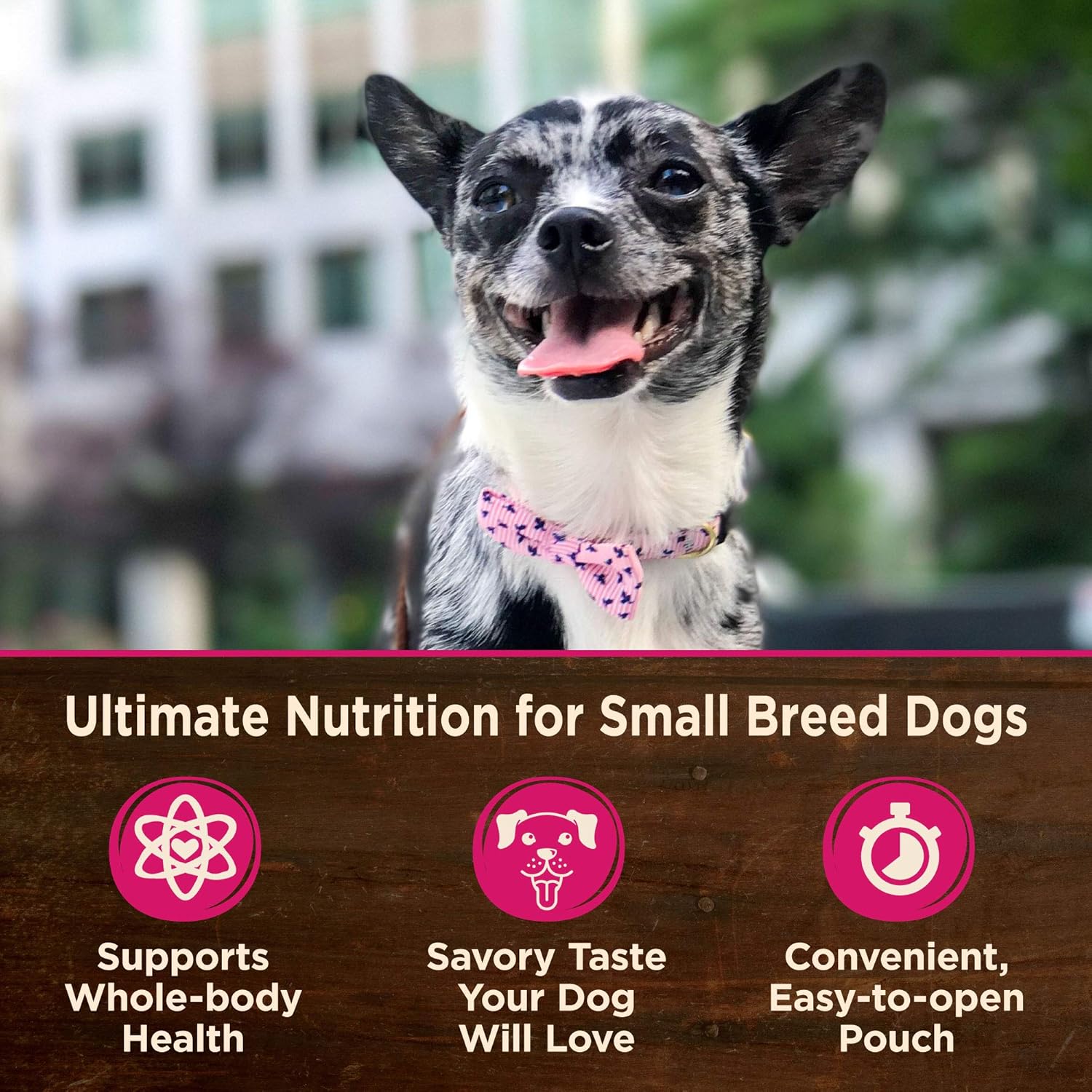 Wellness CORE – Alimento húmedo natural para perros de raza pequeña, sin granos, plato principal de pollo en paté, bolsa de 3 onzas (paquete de 12)