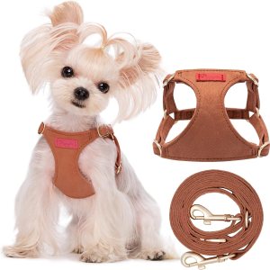 Puppytie Arnés sin tirones para cachorro, con correa multifunción, pechera suave y ajustable para mascota, no ahorca, chaleco a prueba de escape, Puppytie Arnés sin tirones para cachorro, con correa multifunción, pechera suave y ajustable para mascota, no ahorca, chaleco a prueba de escape,