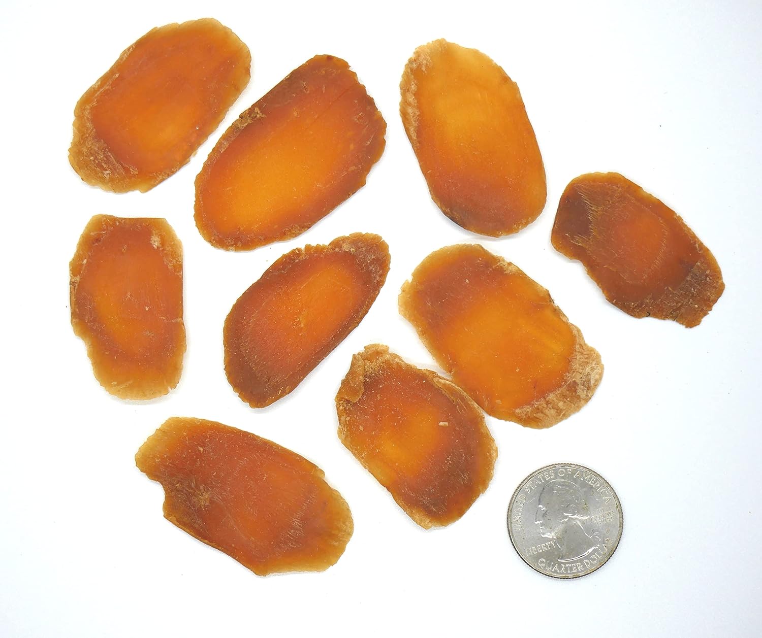 Rebanadas de ginseng Panax rojo  Raíces enteras de 6 años  Ginseng rojo coreano  Grado premium, muy grande y sin azúcar  Ginsenósidos altos para