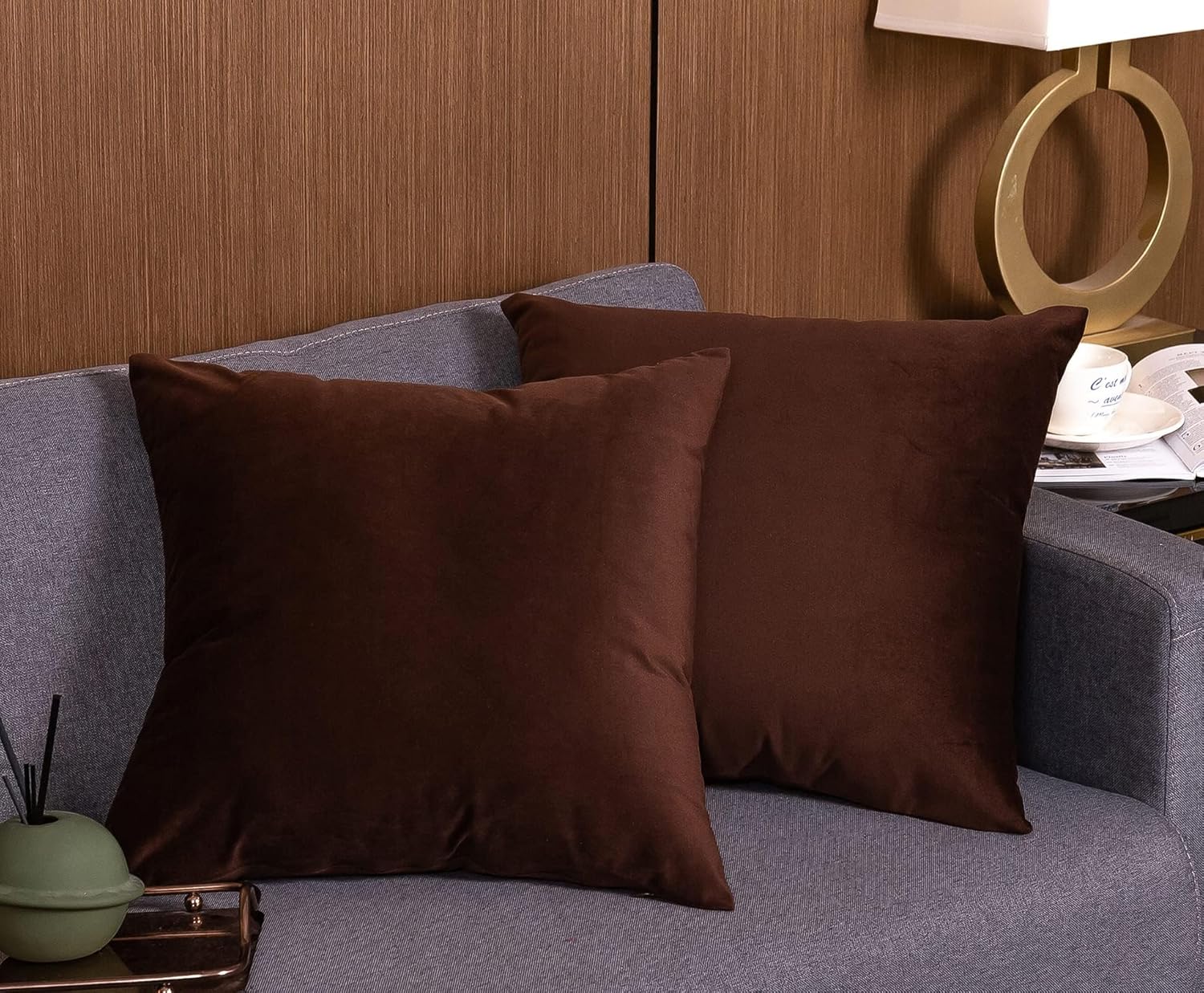 AyoAc Juego de 2 fundas de almohada de terciopelo verde oscuro de 20 x 20 pulgadas, almohadas decorativas para sofá y cama (marrón oscuro, 20 x 20