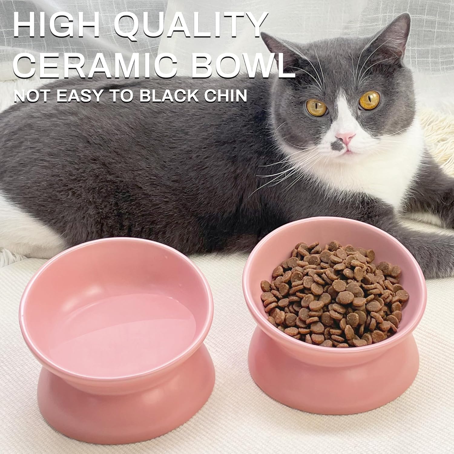 PAILUOMU – Tazones elevados de cerámica para gatos, juego de 2 cuencos elevados inclinados para alimentos y agua para mascotas, plato comedero para