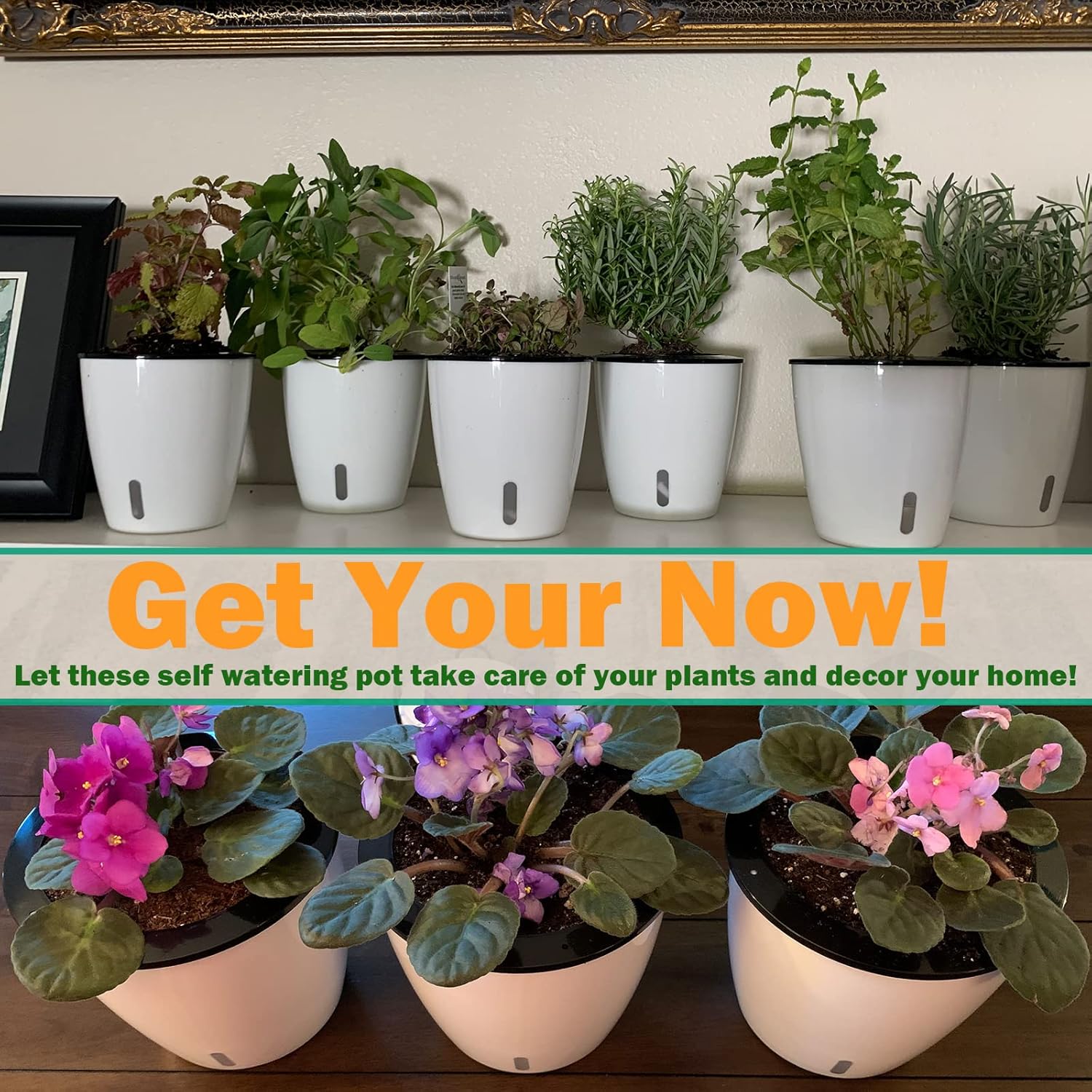 Paquete de 10 macetas de riego automático de 5 pulgadas para plantas de interior con indicador de agua, macetas de violeta africana con maceta de