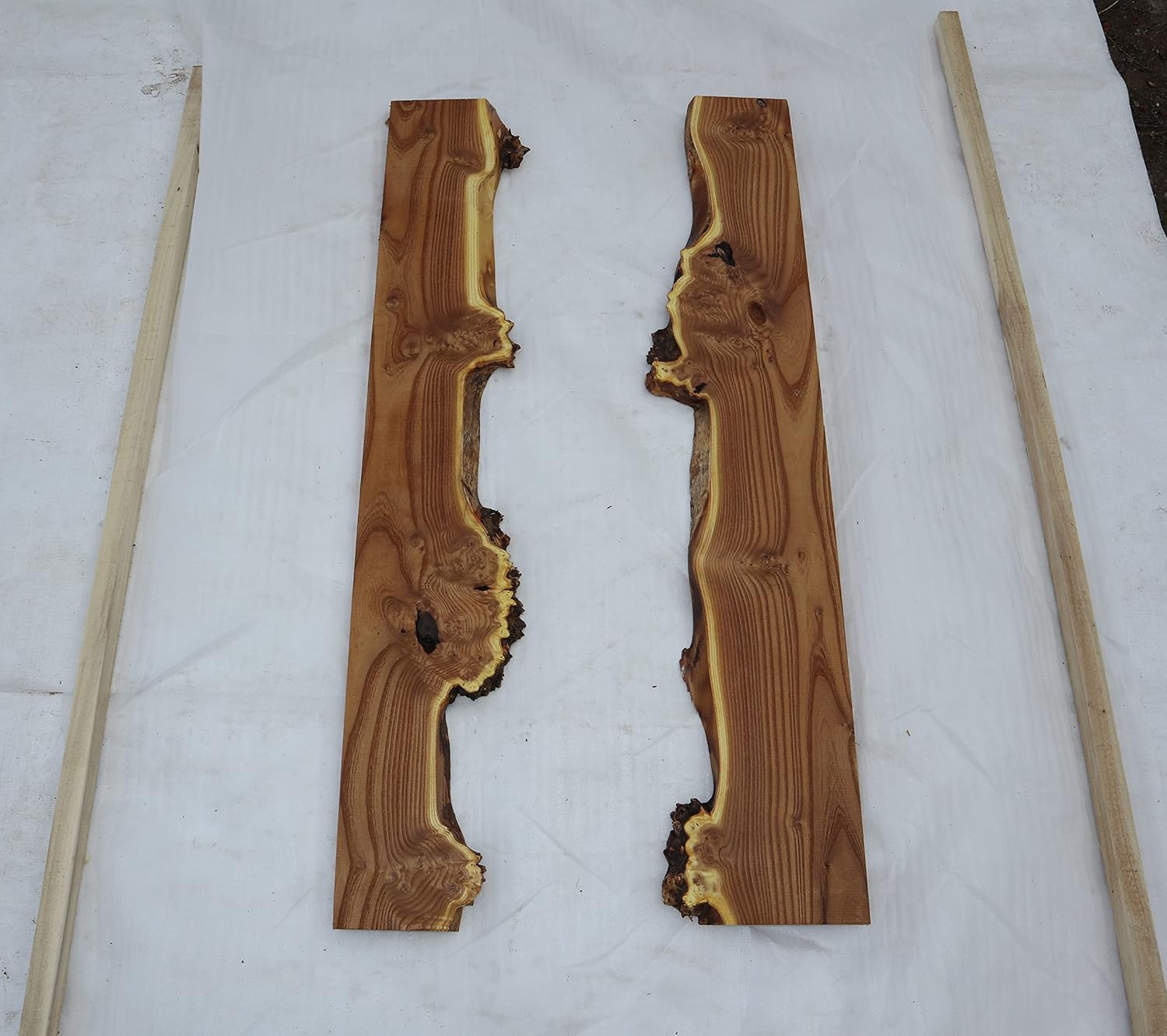 Live Edge – Losas semiprocesadas de madera de oliva rusa con borde vivo para proyectos de madera, estantes o mesas de café de río epoxi, etc. Set
