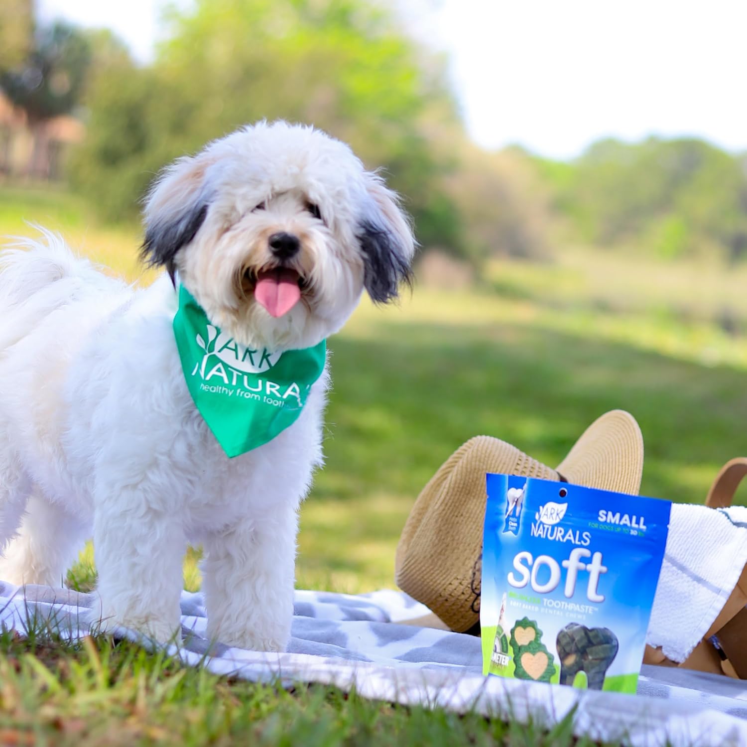 Ark Naturals Pasta de dientes suave sin escobillas, masticables dentales para perros para razas pequeñas, refresca el aliento, textura única que