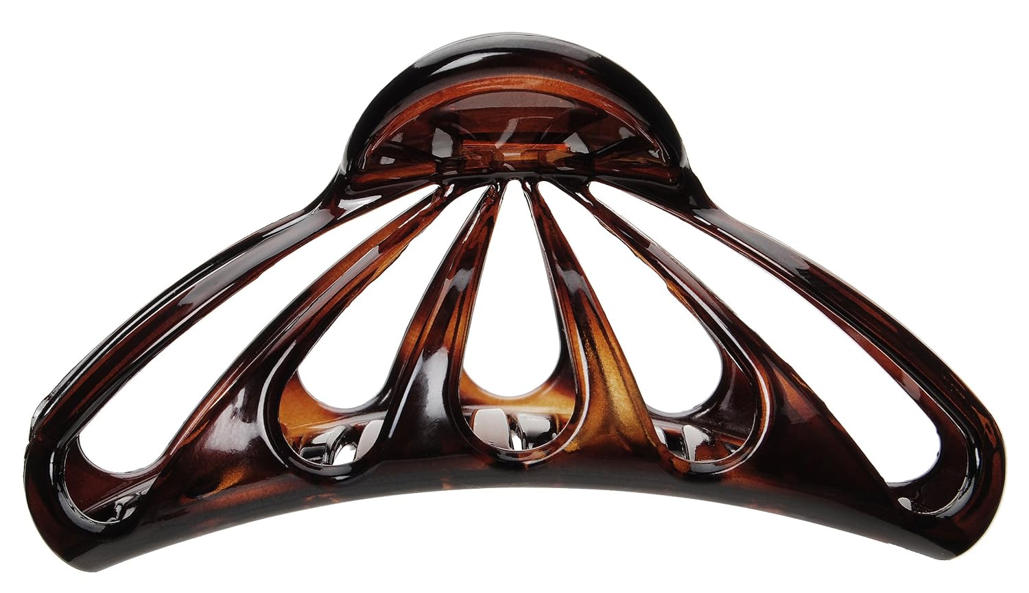 France Luxe Mandíbula grande Nautilus – Tortuga