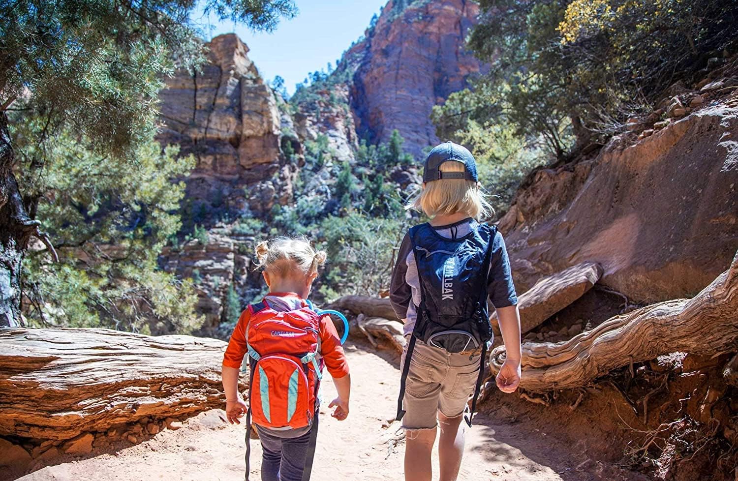 CamelBak Mochila de hidratación Scout Hike con depósito, 50 onzas